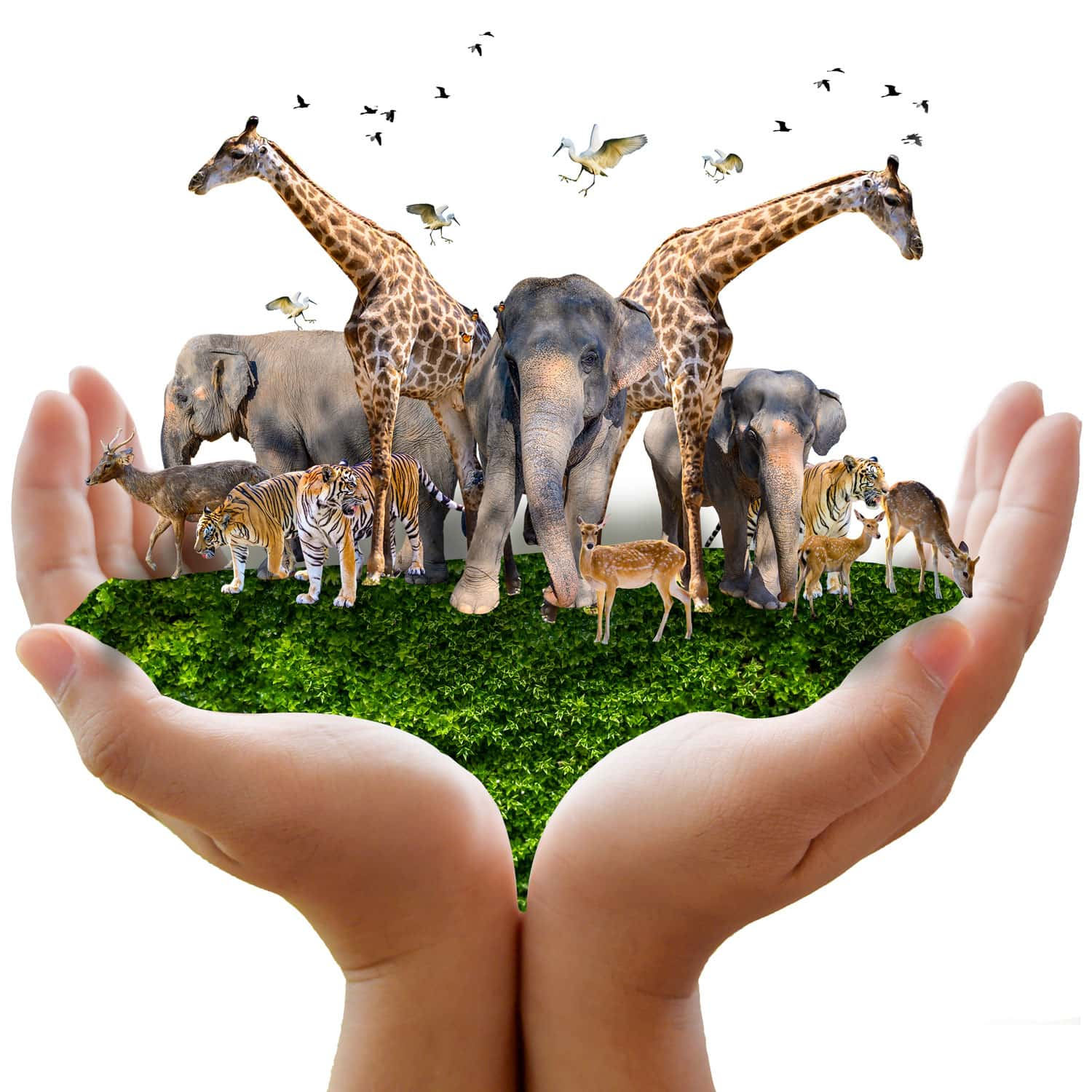 Tư vấn khóa học