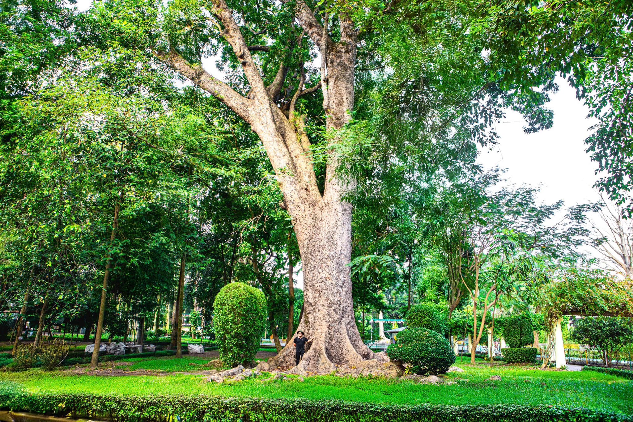 160 Năm Hình Thành & Phát Triển 9