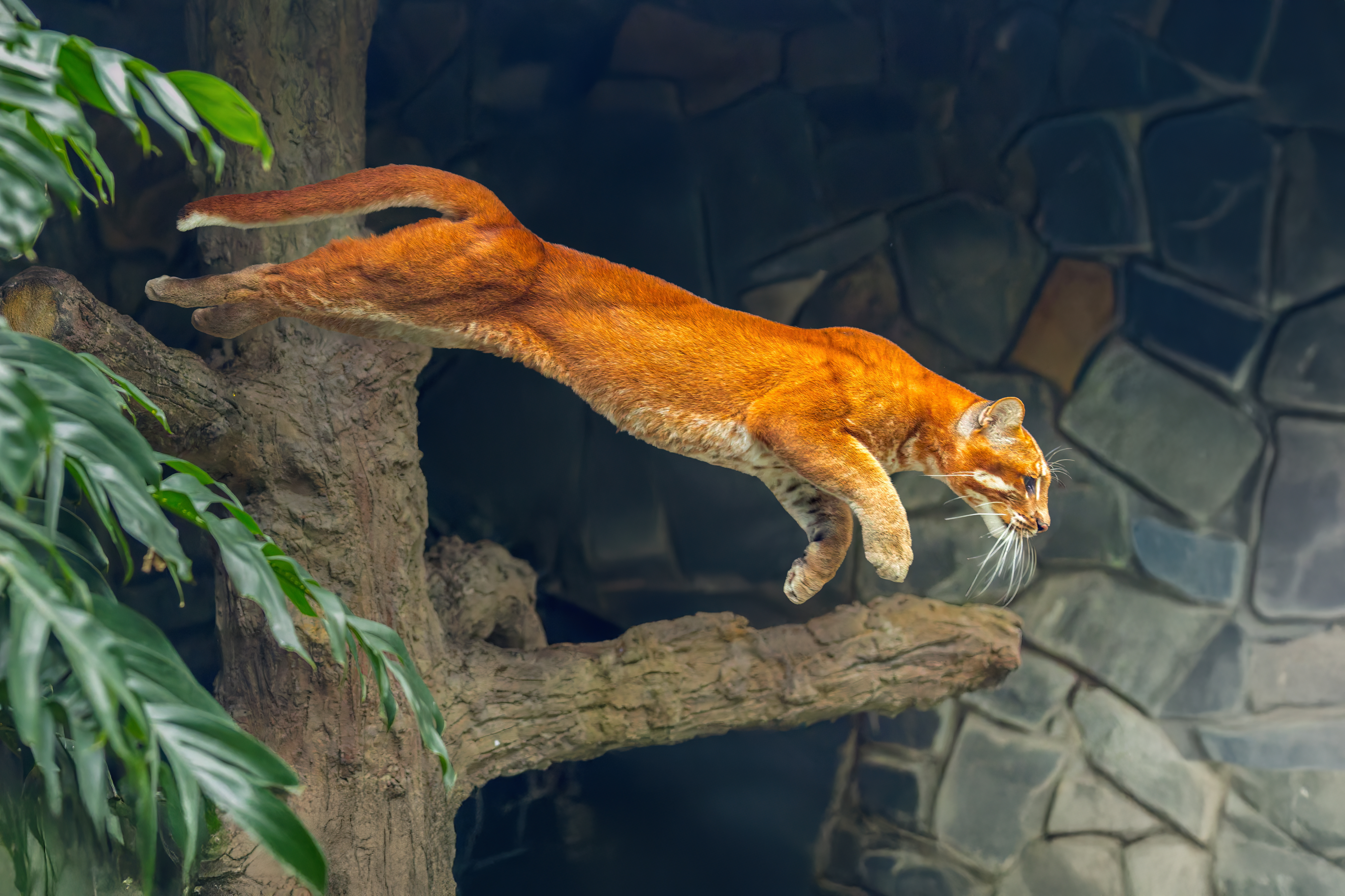 Bùi Trọng Hiếu (10)