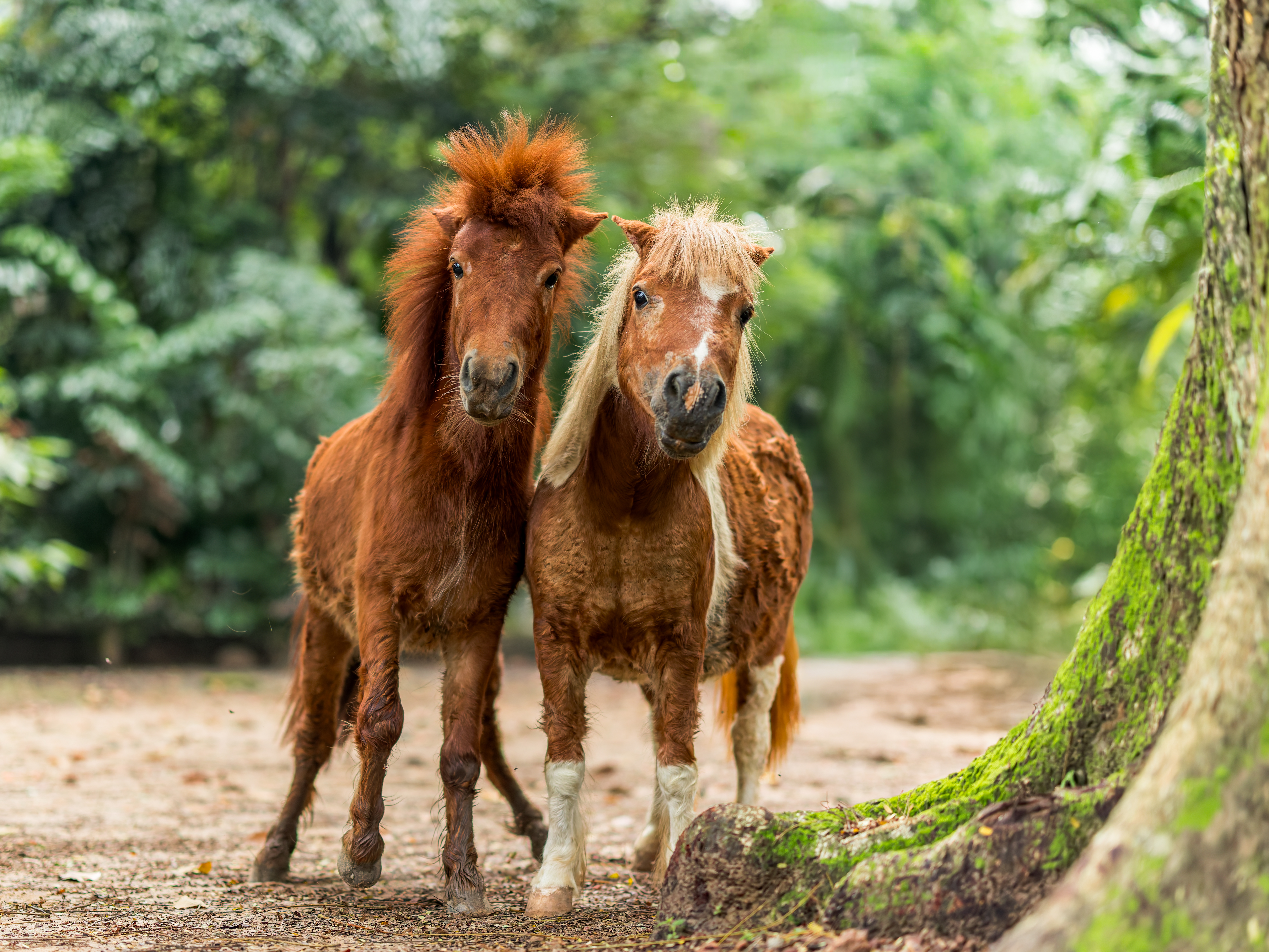 Bùi Trọng Hiếu (17)