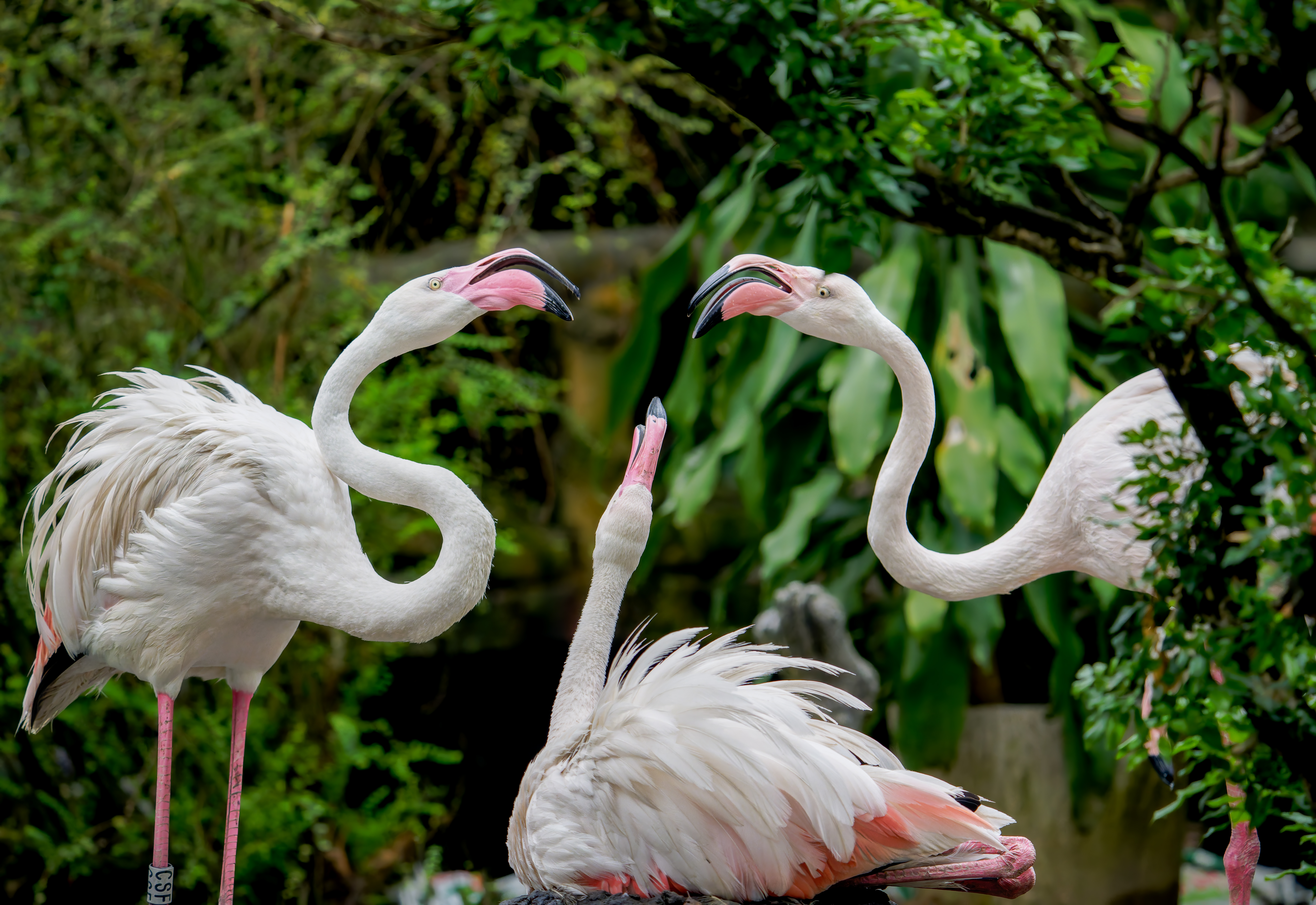 Trường Đinh (17)