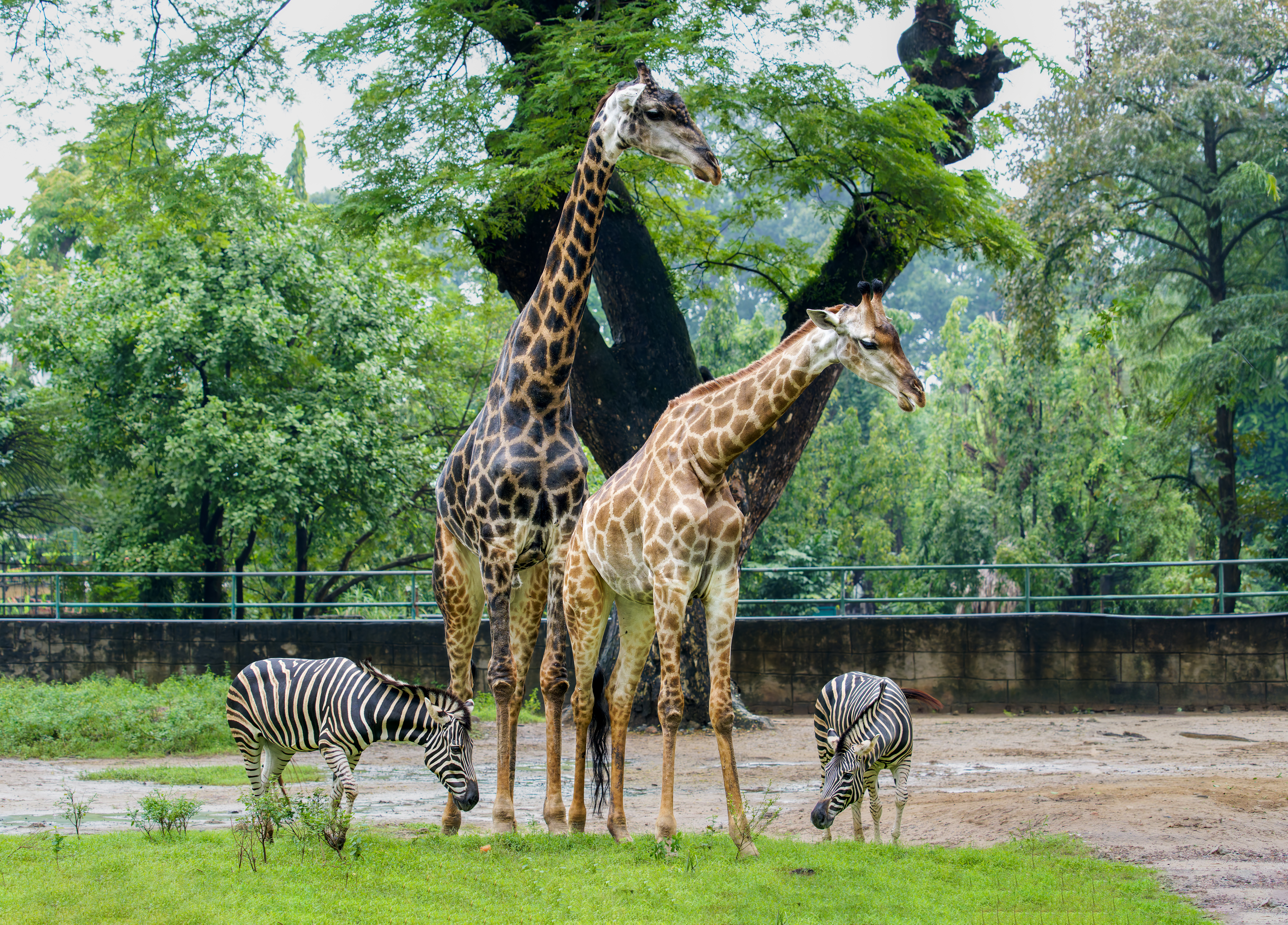 Trường Đinh (19)