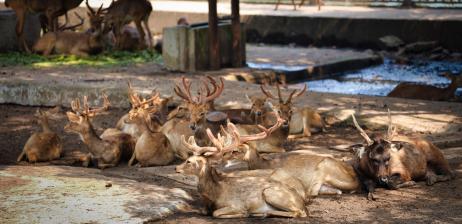 Hình ảnh du khách chụp