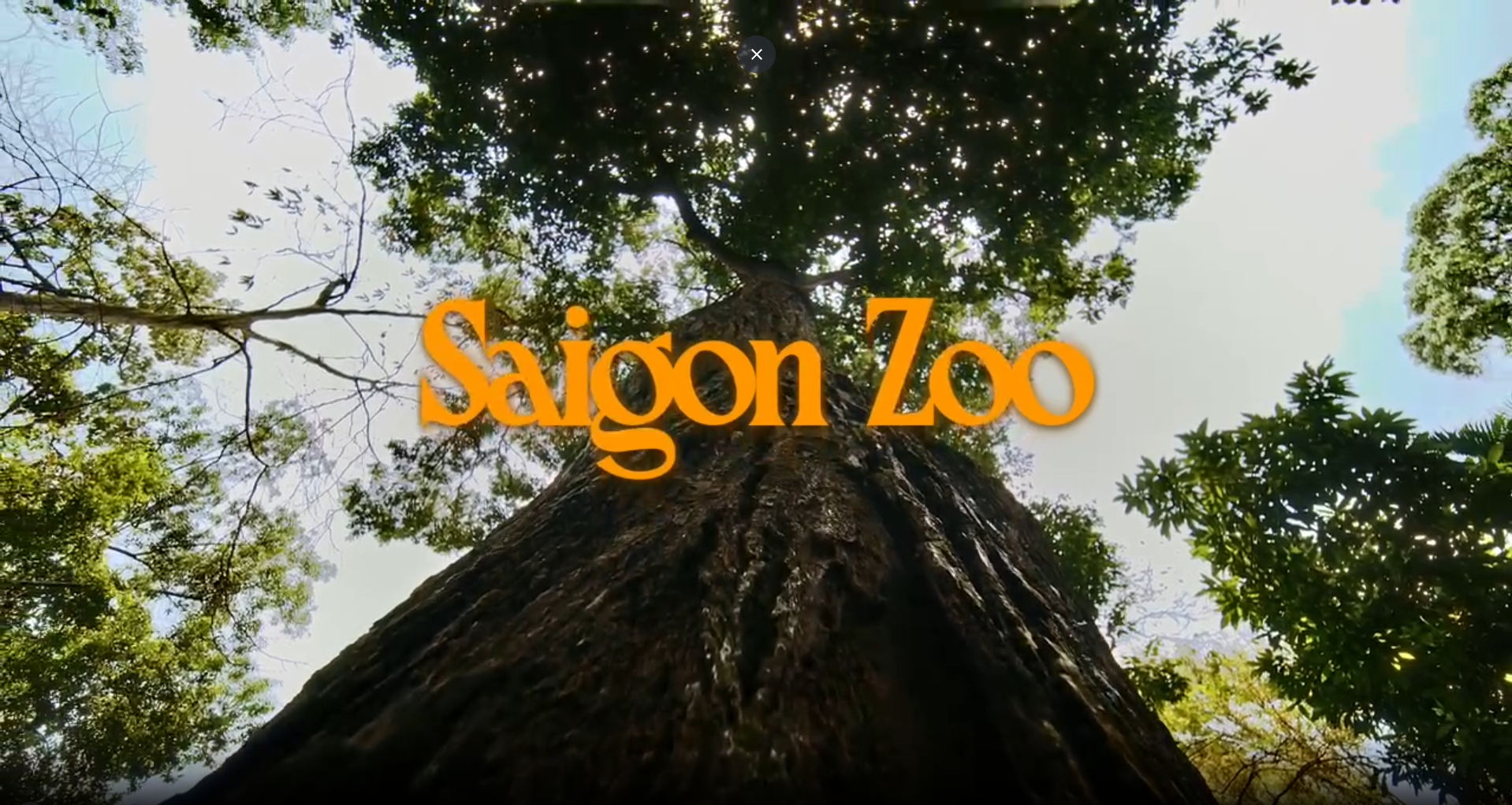 Screenshot 2026-03-31 142150