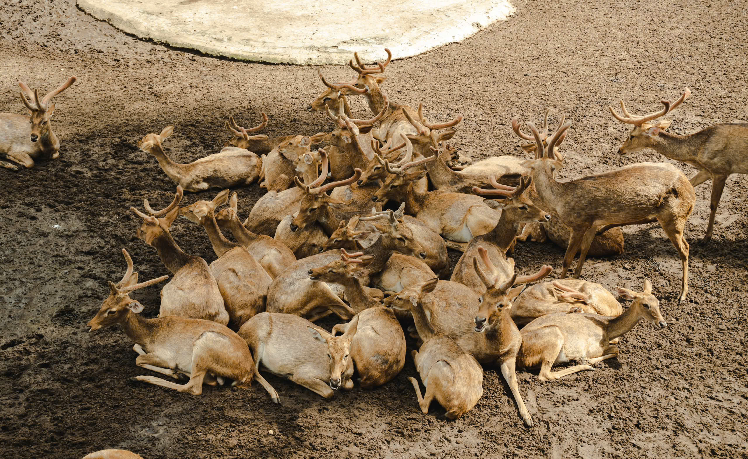 z7310455867226_002_189477d502a09cf3afdf6a1b86c8b346