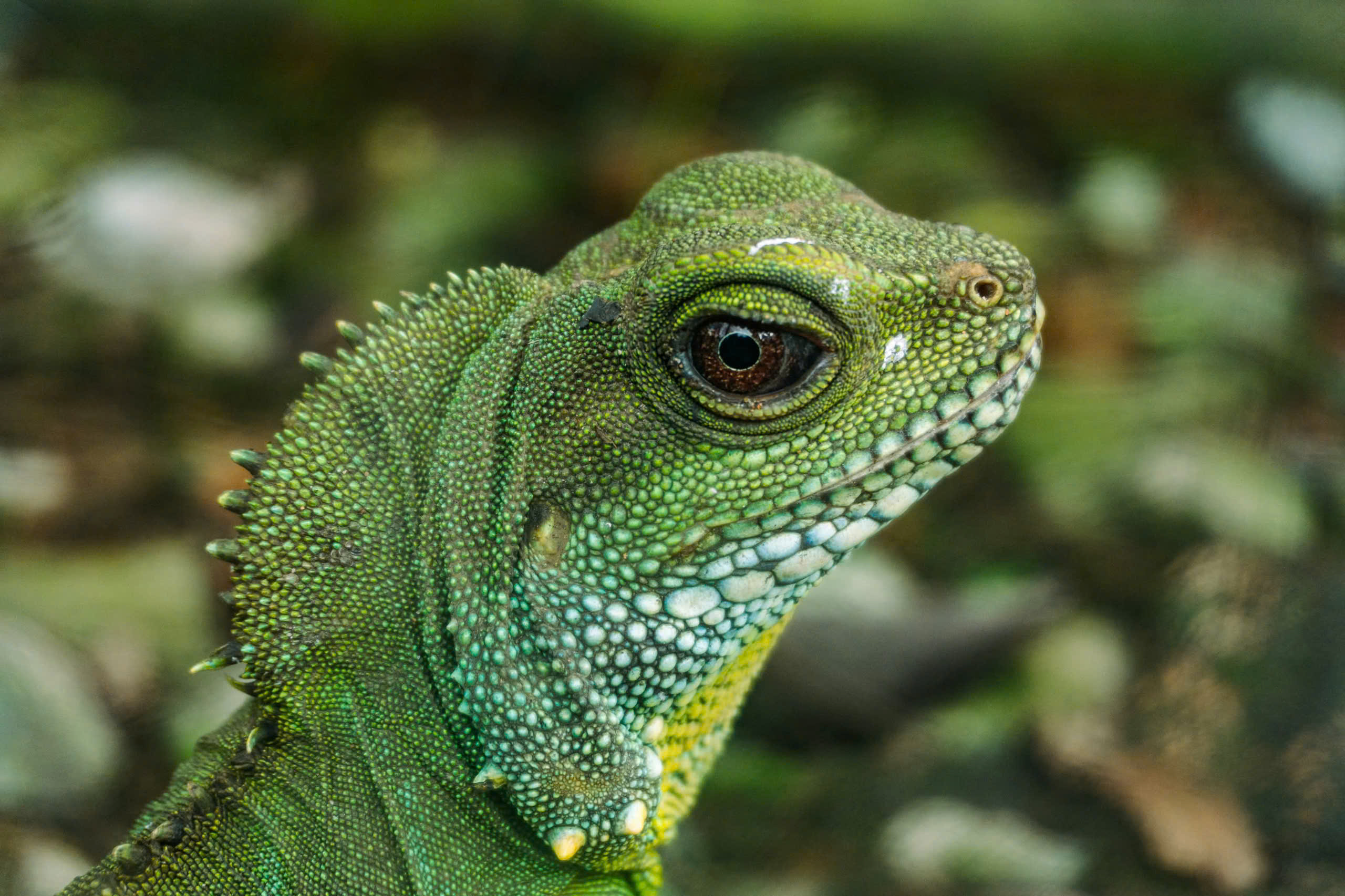 z7310455867226_005_a0ca81a48efceeed451eea22ee4e8dc3