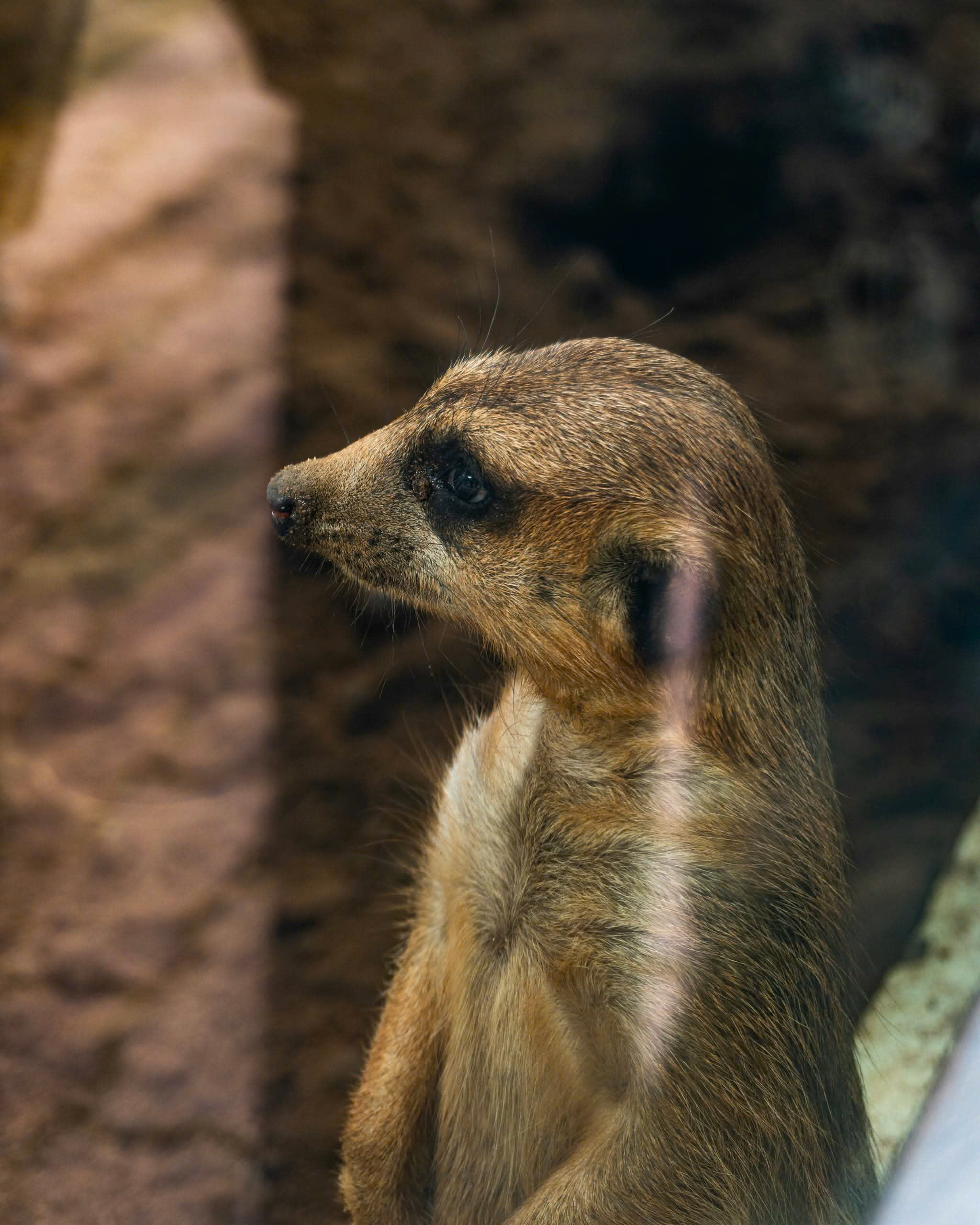 z7310455867226_006_eba8133e5eab51316fa4ca91690c1e03