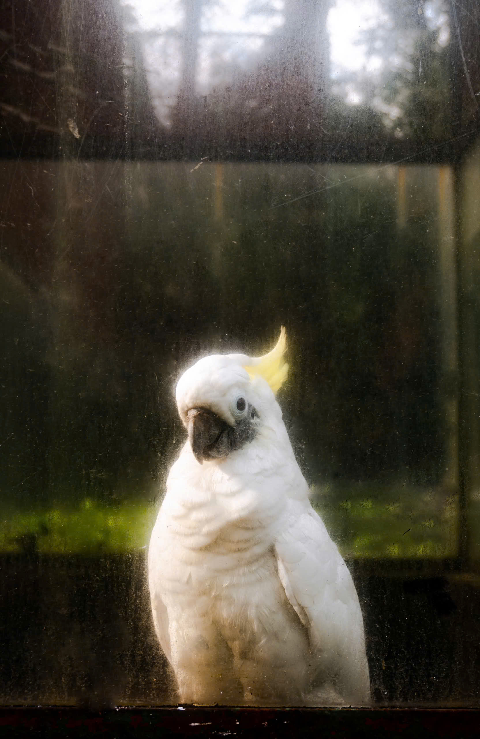 z7310455867226_008_706fe83b0be71303abbfd2435787d640