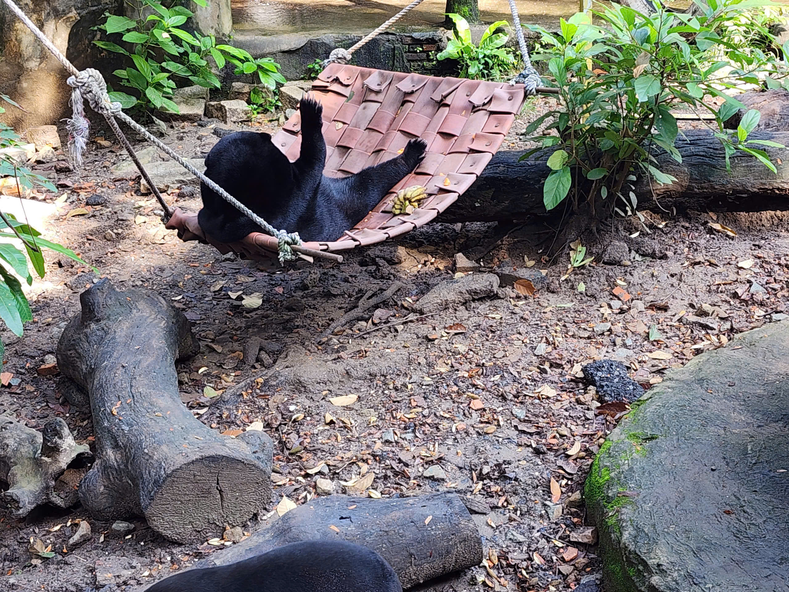 z7068457910702_5b9f2b201094d90da90ca2724d30f50d