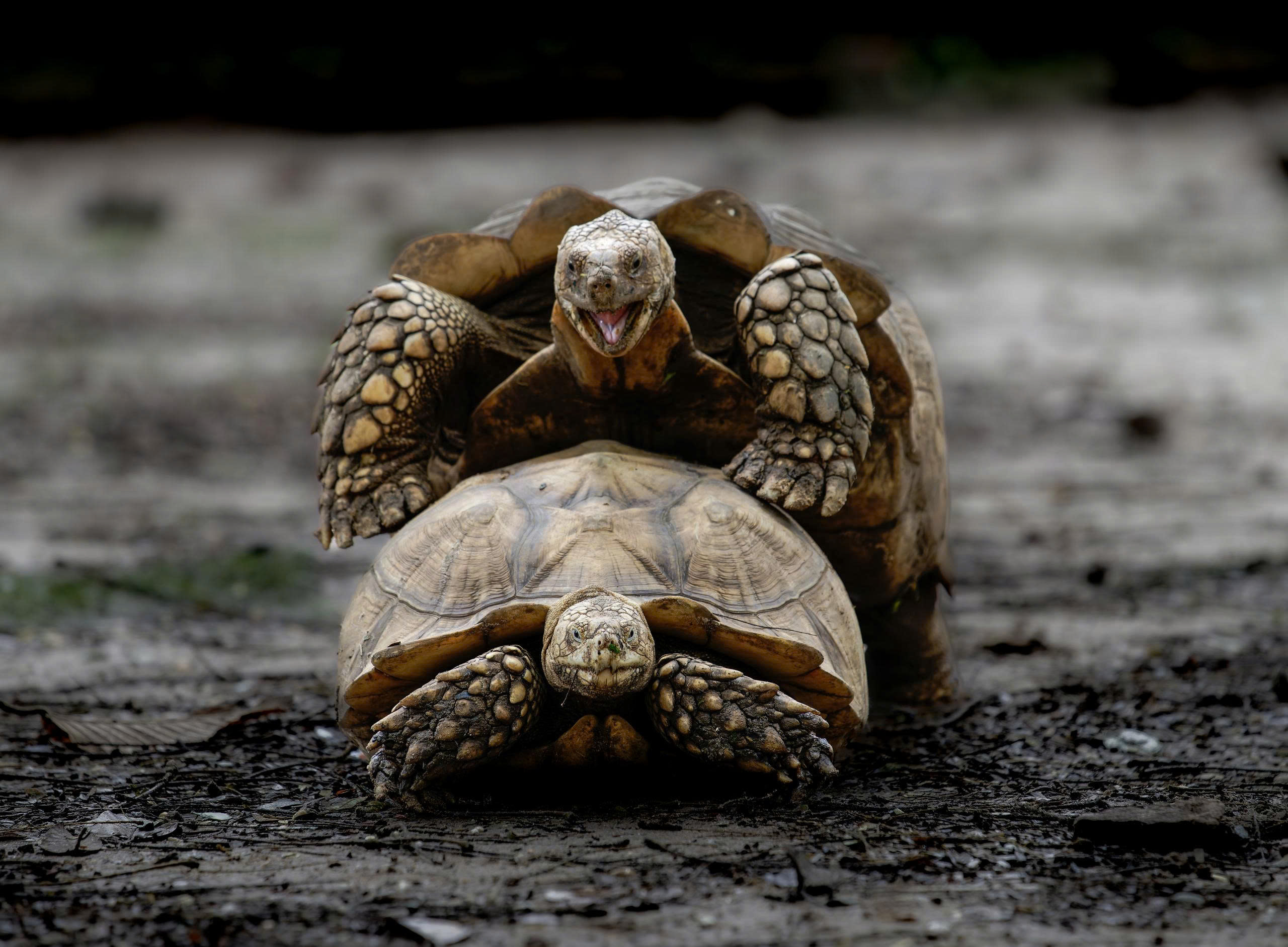 z7185928306849_685be76e25d0feff0d4523470f62486c