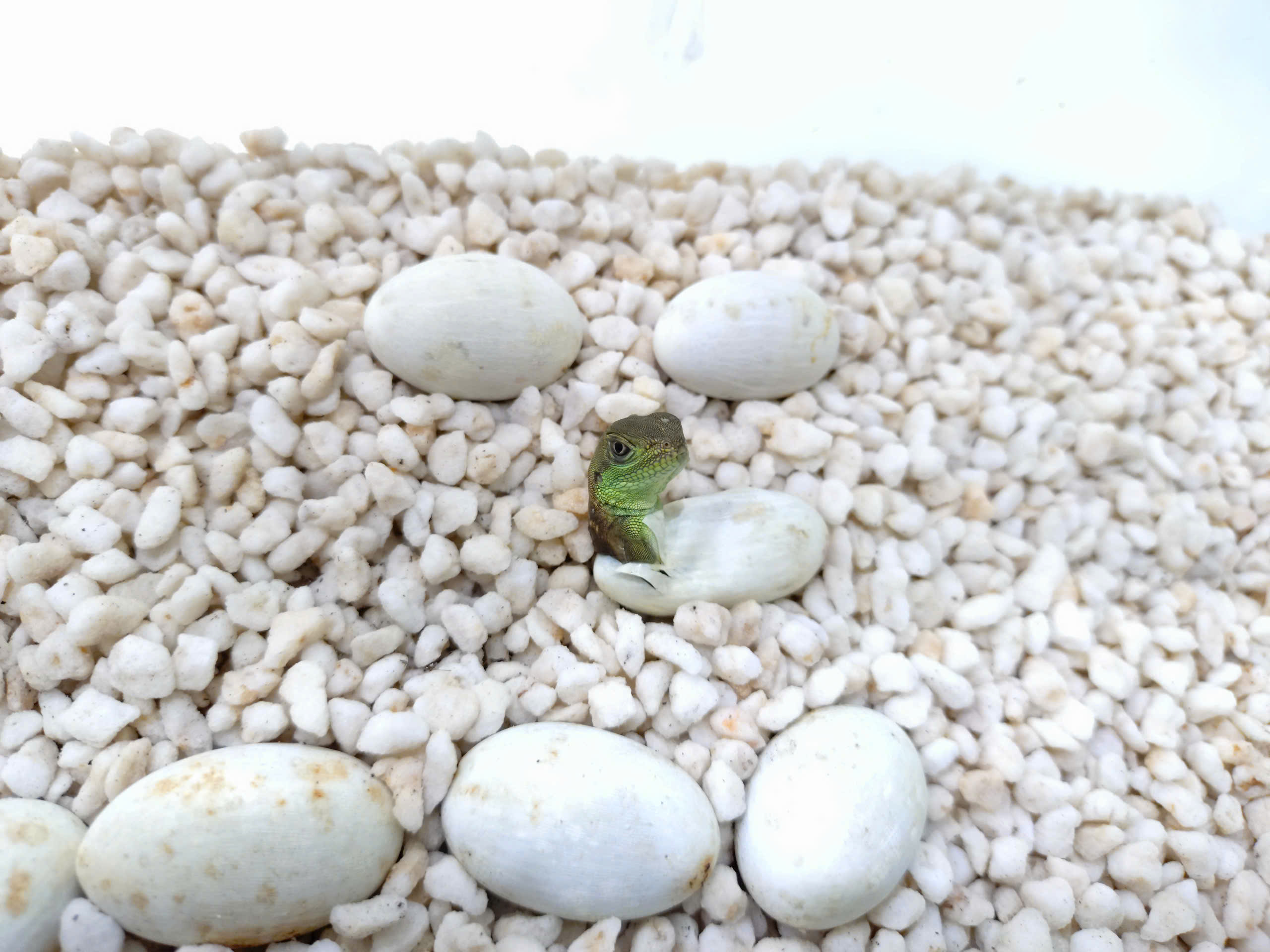 z7212626551572_9b26f7d418a50fb7d02057234cc50551