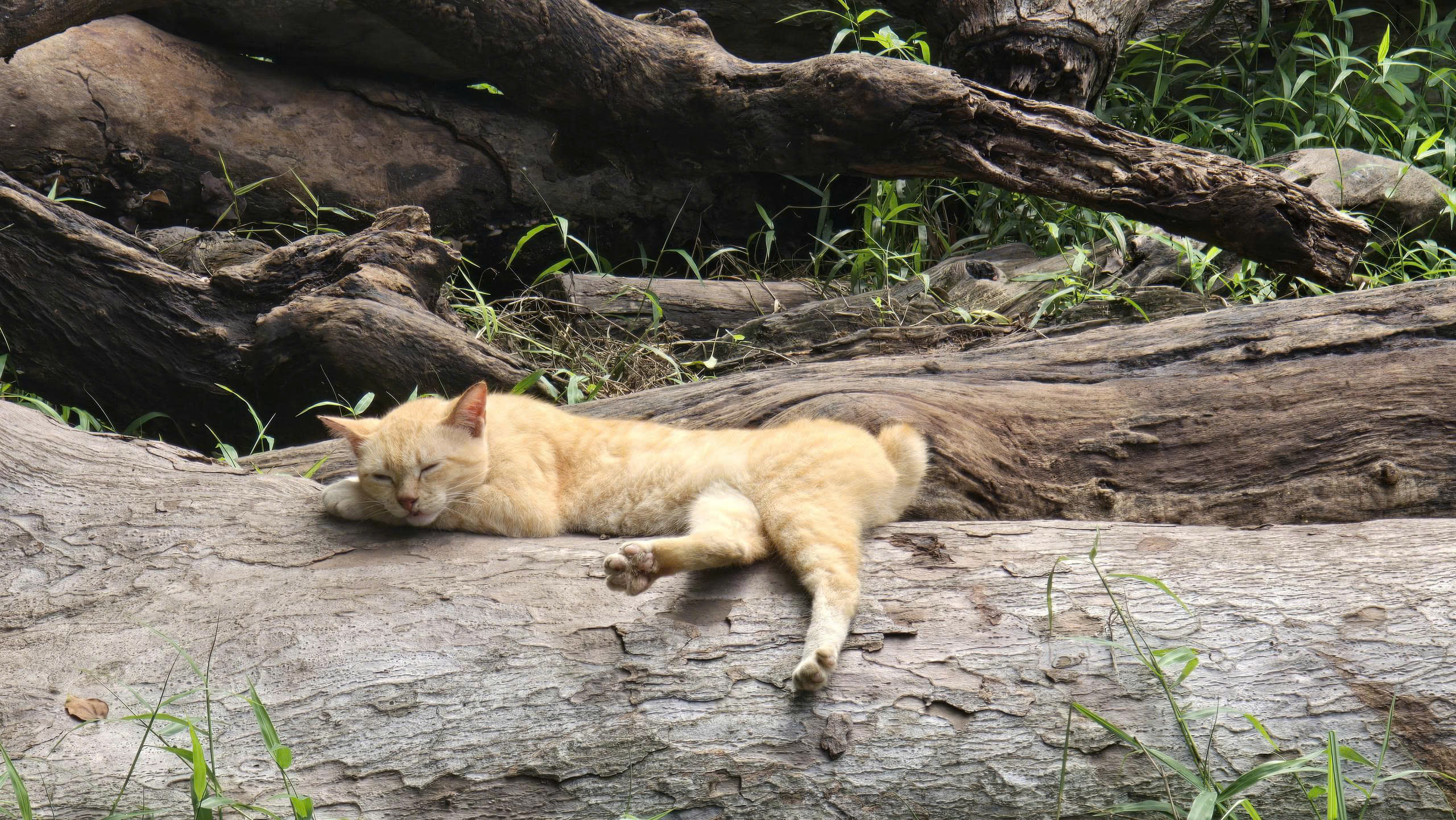 z7219687194871_4bb2c3fce7883a930f6dfecdb01698d6