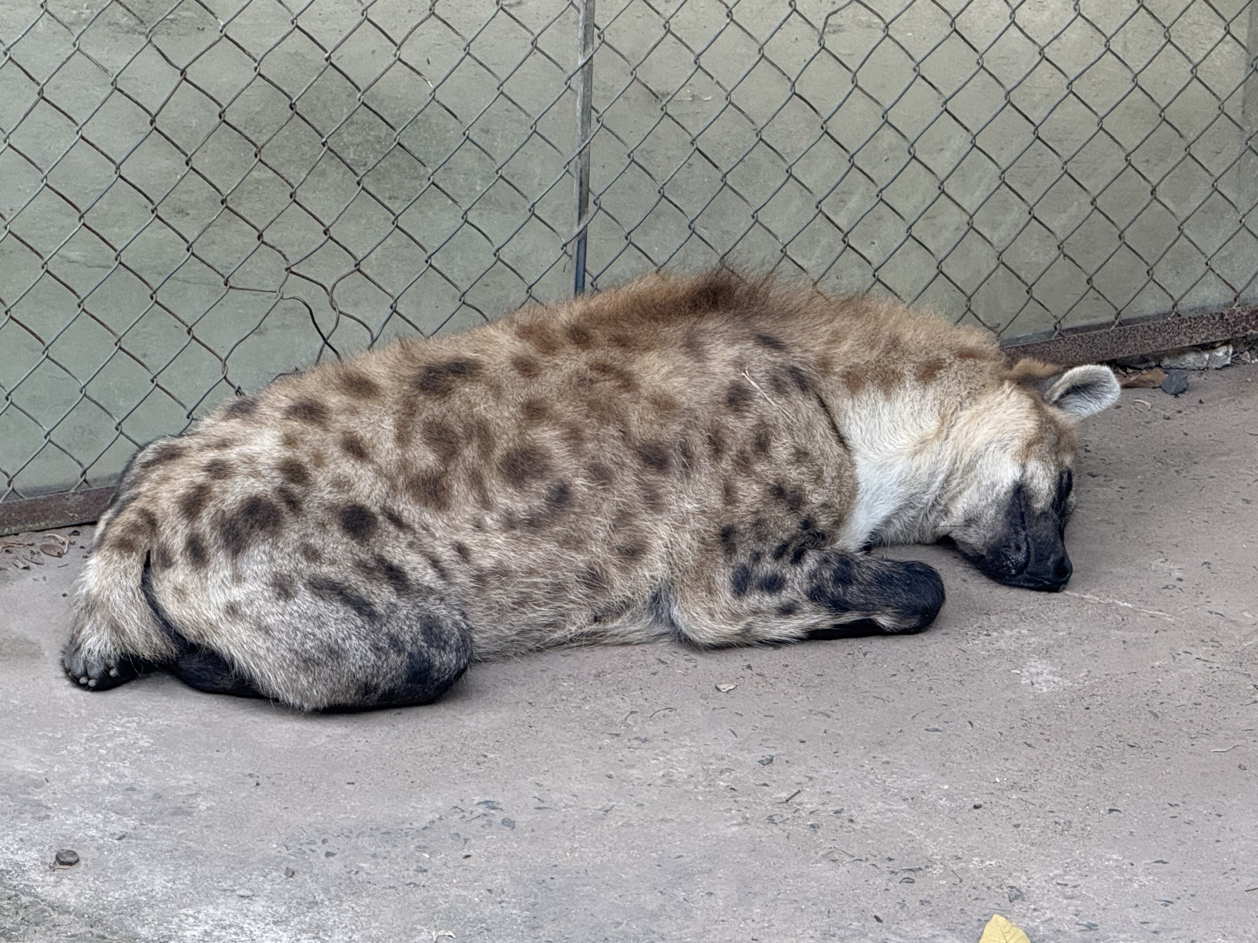 z7453369246592_348cf52db883ece1001cad05852f8c5b