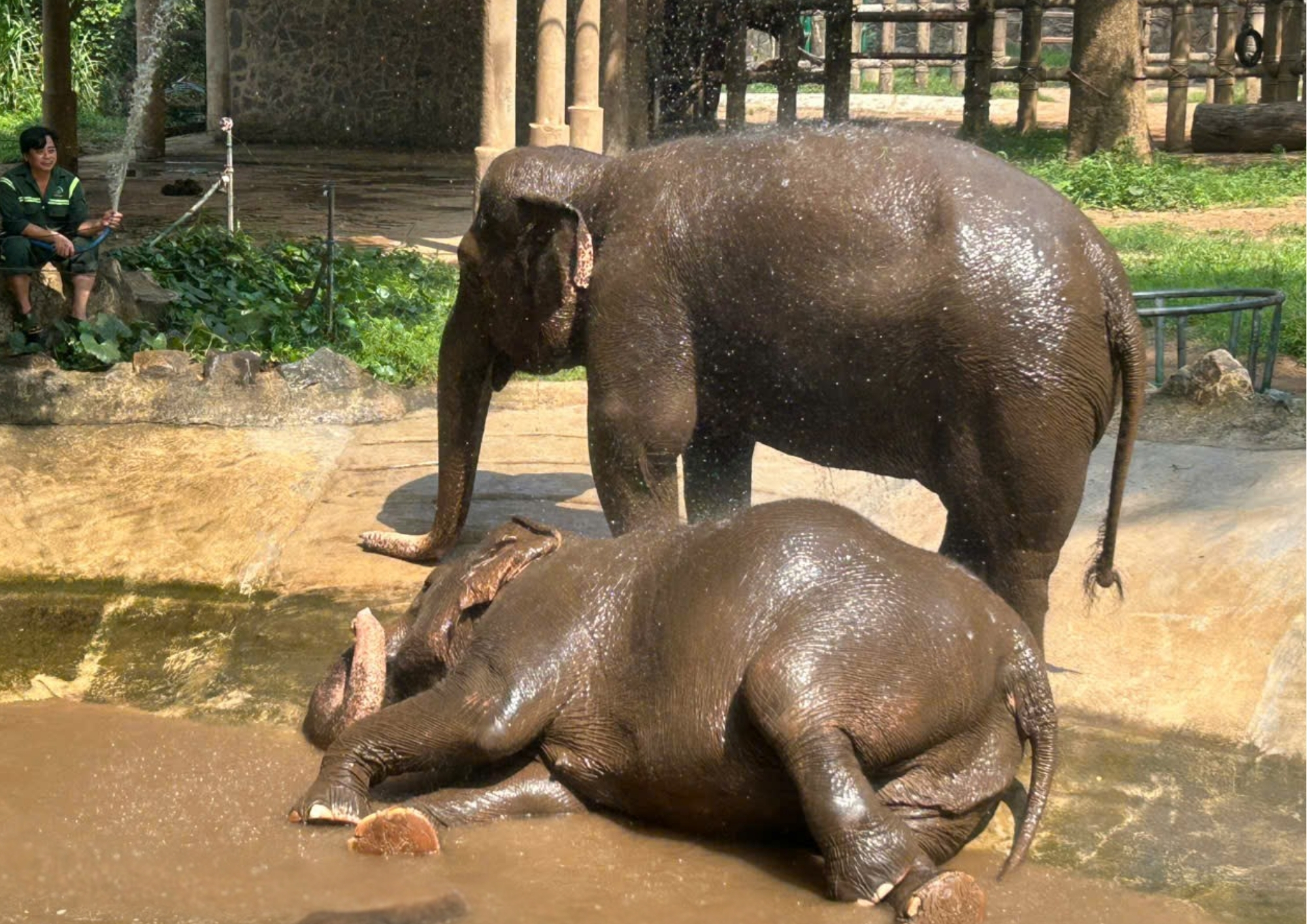 Bảng cảnh báo 40 x 60cm (A5 (Landscape))
