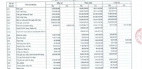 BÁO CÁO TÀI CHÍNH 6 THÁNG ĐẦU NĂM 2026
