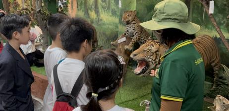 CÁC HOẠT ĐỘNG VỀ CÔNG TÁC GIÁO DỤC BẢO TỒN TẠI THẢO CẦM VIÊN SÀI GÒN