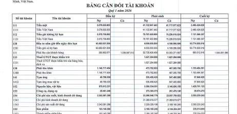 BÁO CÁO TÀI CHÍNH QUÝ I