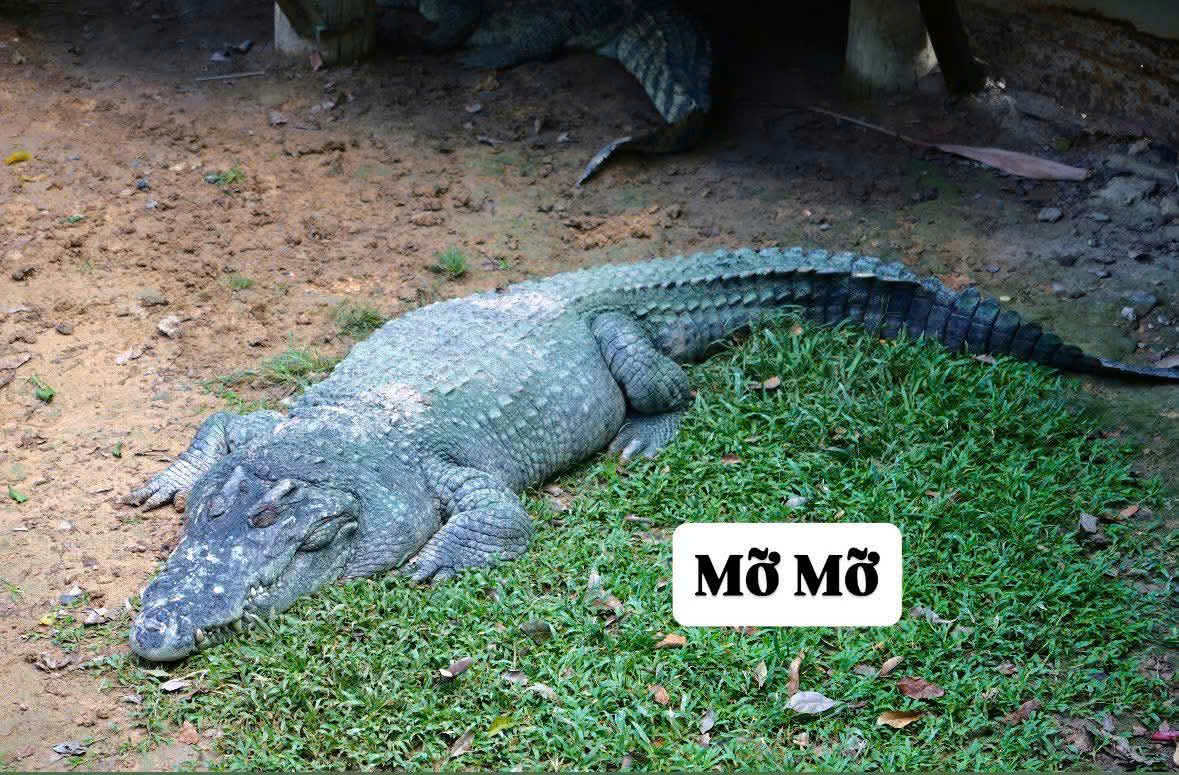 z7686294005450_4c61173ec6611cbf7c55073ded989438