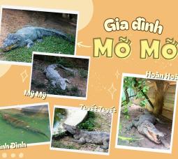 KHÁM PHÁ LOÀI CÁ SẤU NƯỚC NGỌT – “CHIẾN BINH THẦM LẶNG”  CỦA THIÊN NHIÊN