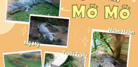 KHÁM PHÁ LOÀI CÁ SẤU NƯỚC NGỌT – “CHIẾN BINH THẦM LẶNG”  CỦA THIÊN NHIÊN