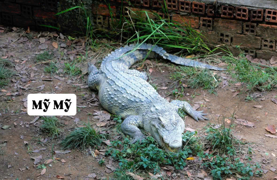 z7686294006671_0cbce5d183e2c3d3439293f6cdb9b20e