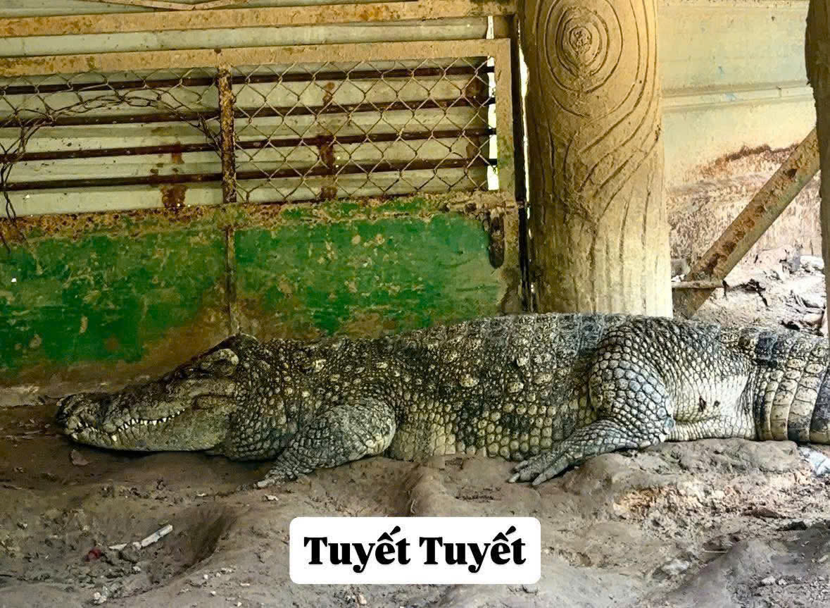 z7686294011939_71cadfd69fc3ecd194cf7d7c00c6c7de