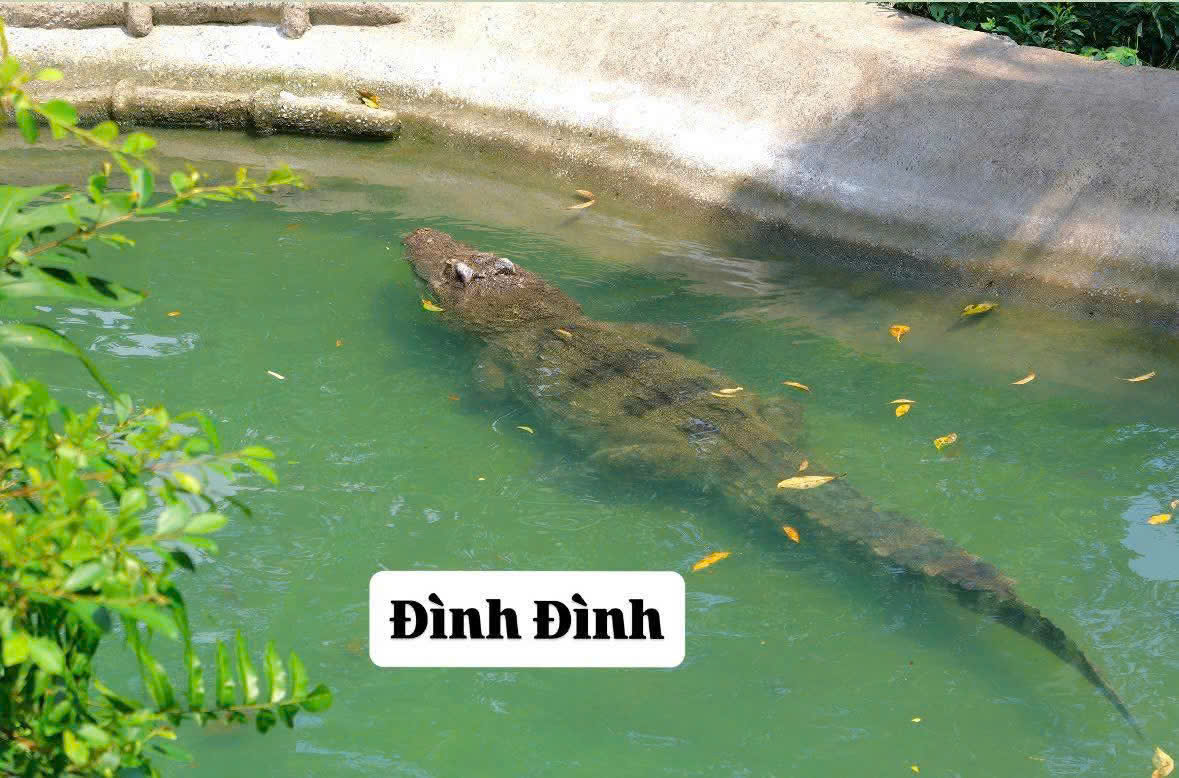 z7686294018524_fa71ad2f47abe2c20540977b98c835b1