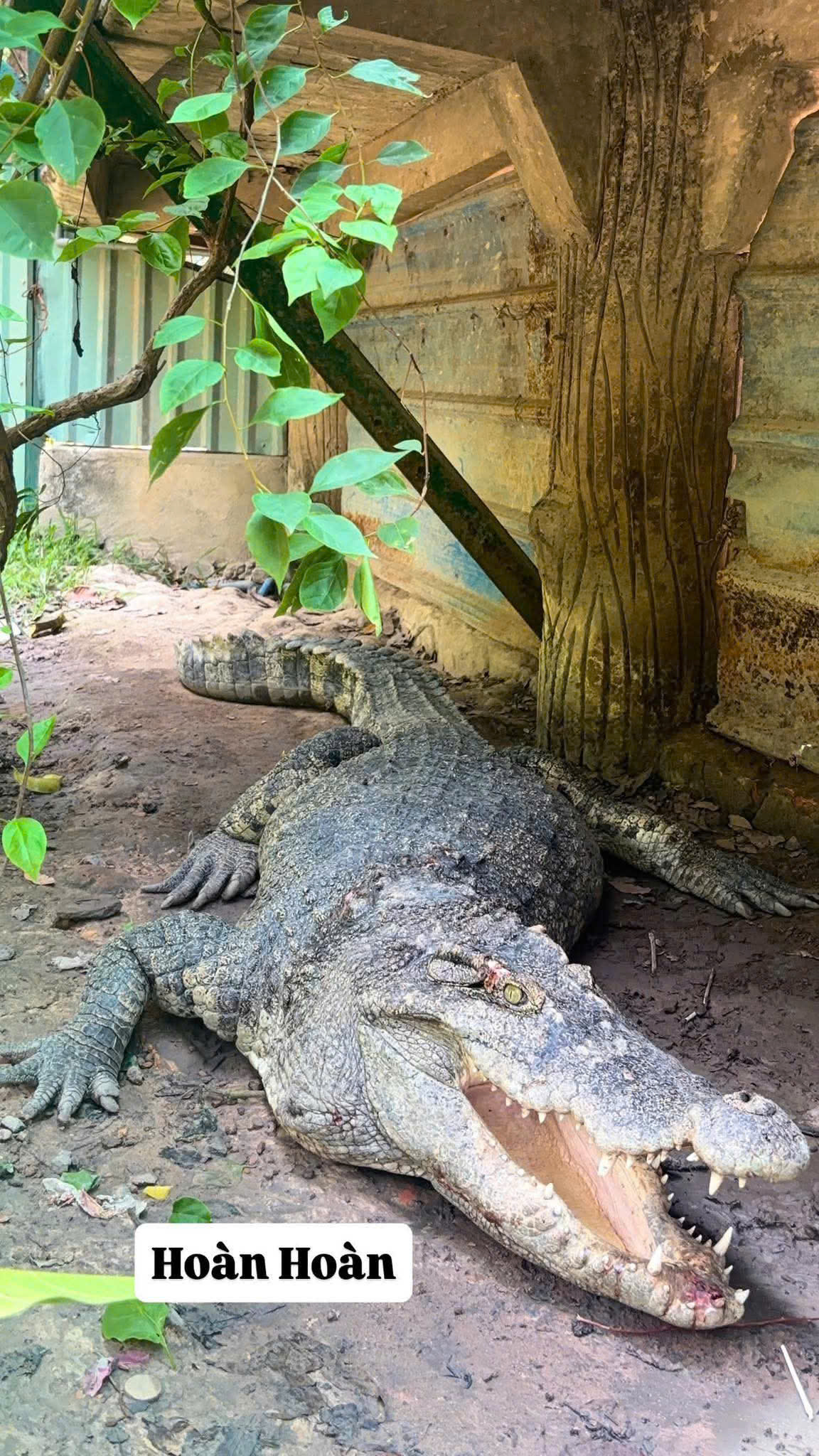 z7686294021132_a3517bcb9f9354b9fb23b4453b443555