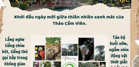 Combo 9: Khu “rừng” giữa lòng thành phố