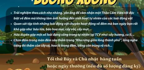Combo 10: Khi màn đêm buông xuống