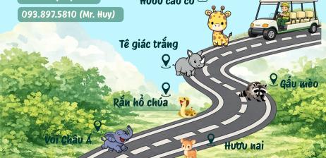 Combo 11: Tham quan bằng xe điện