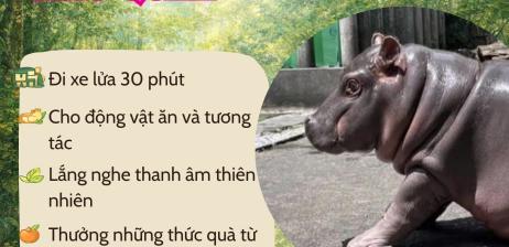 Combo 6: Đánh thức giác quan