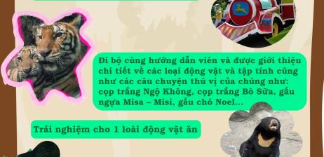 Combo 1: Khám phá những điều kỳ thú
