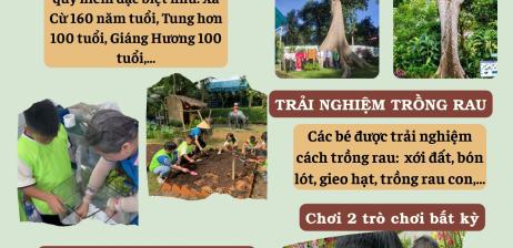 Combo 3: Thiên nhiên diệu kỳ (thực vật)