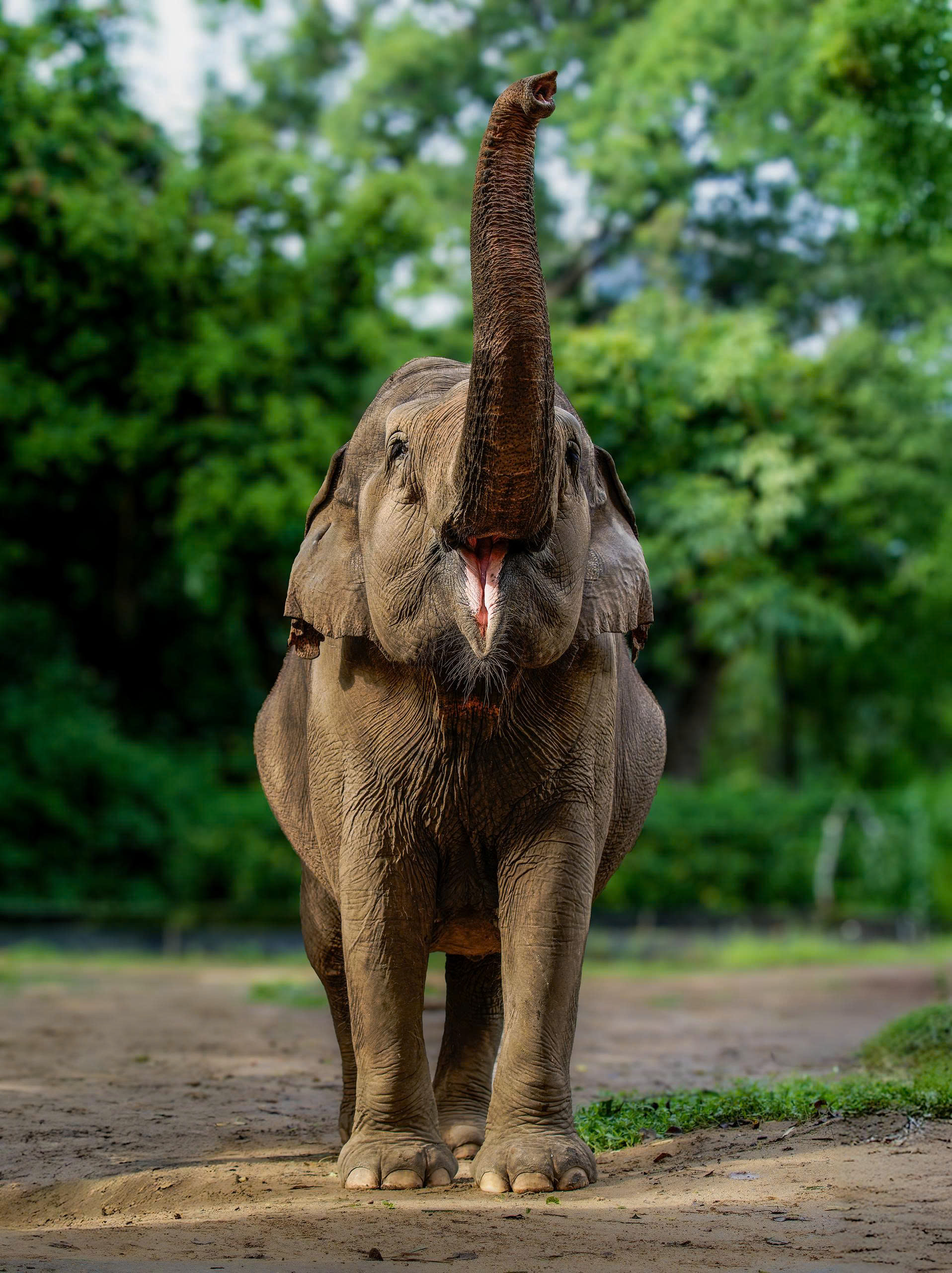 Động vật & Thực vật (TCV - Khu rừng giữa lòng TP)