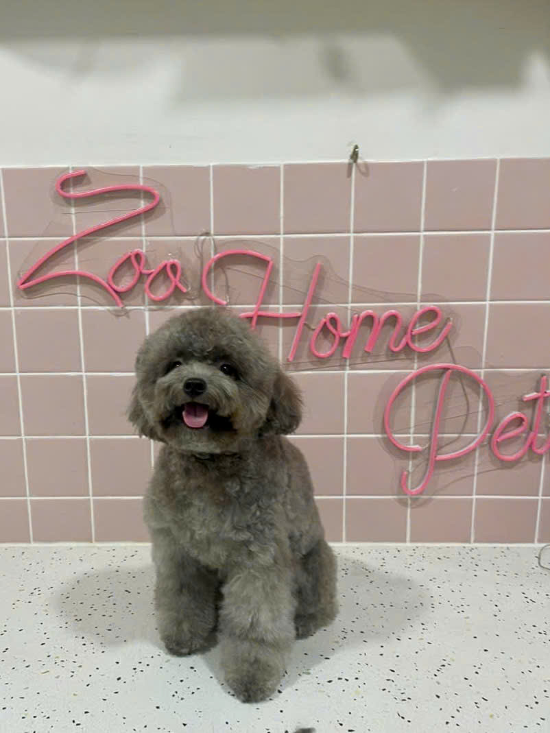 z7592303136415_050a0327046a2def8dc829991a2440eb