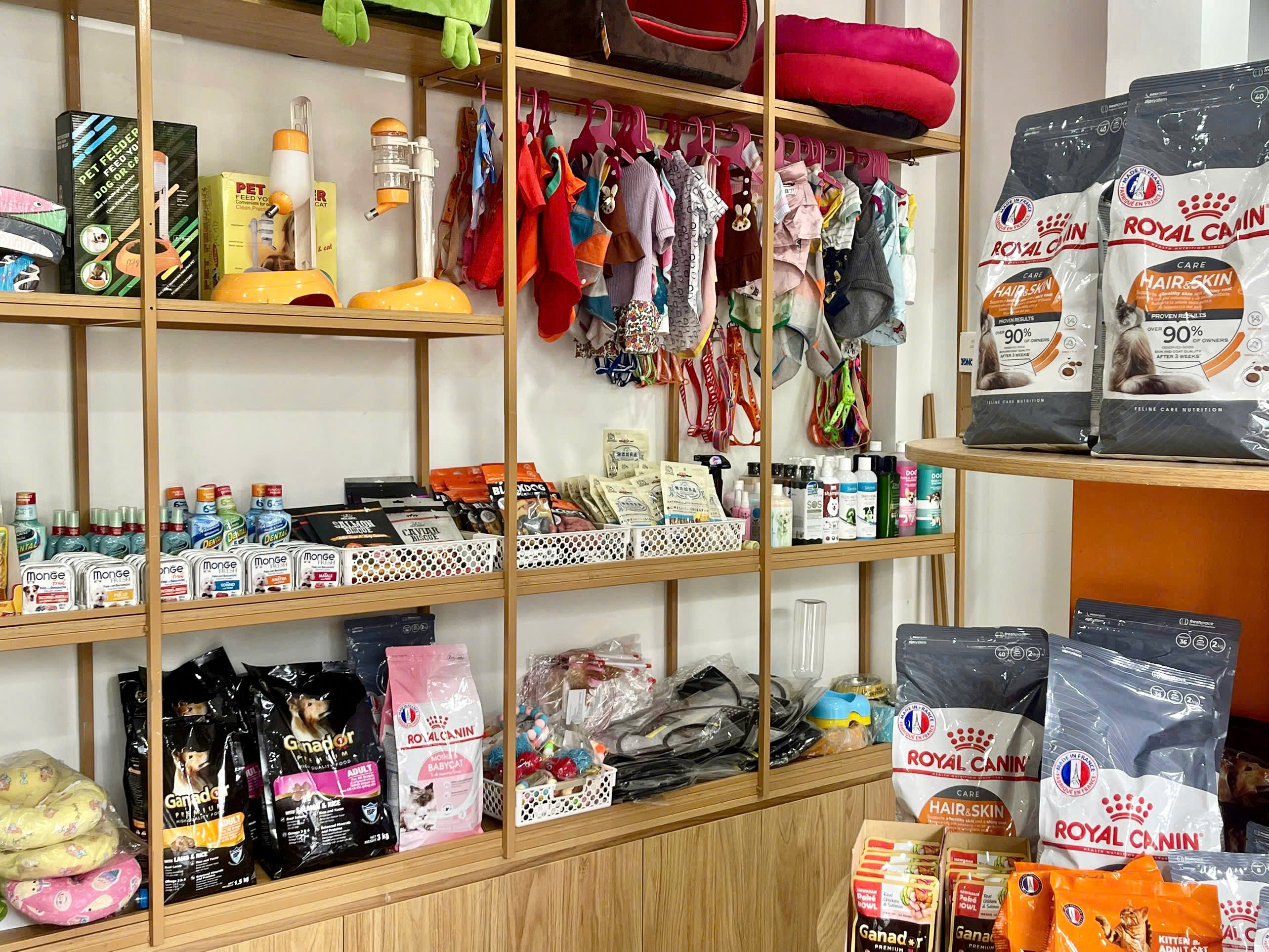 z7592303153864_74fe2b5b341f282aad840c3f0fb44ee2