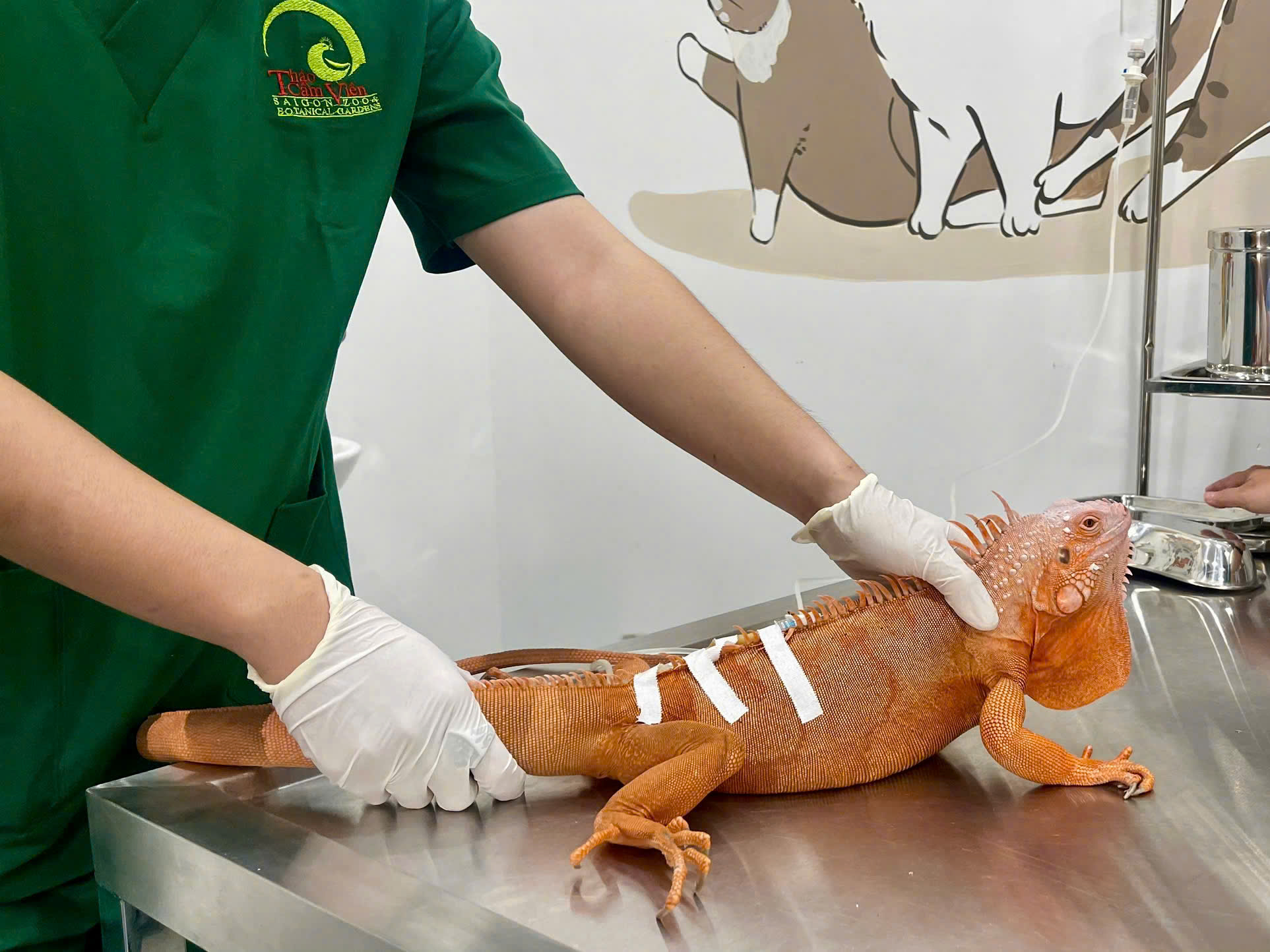 z7592303154369_a71d246eb3725b586f4ec5f10b4cc1fd