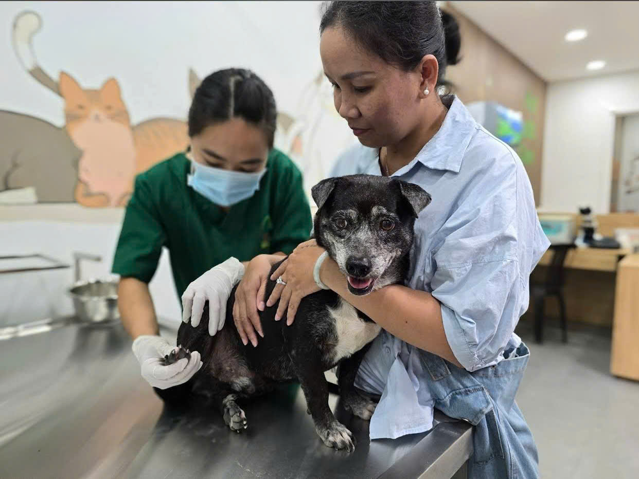 z7592303173381_c4ae93e7caa83cfe9b0b5375d7af9f61