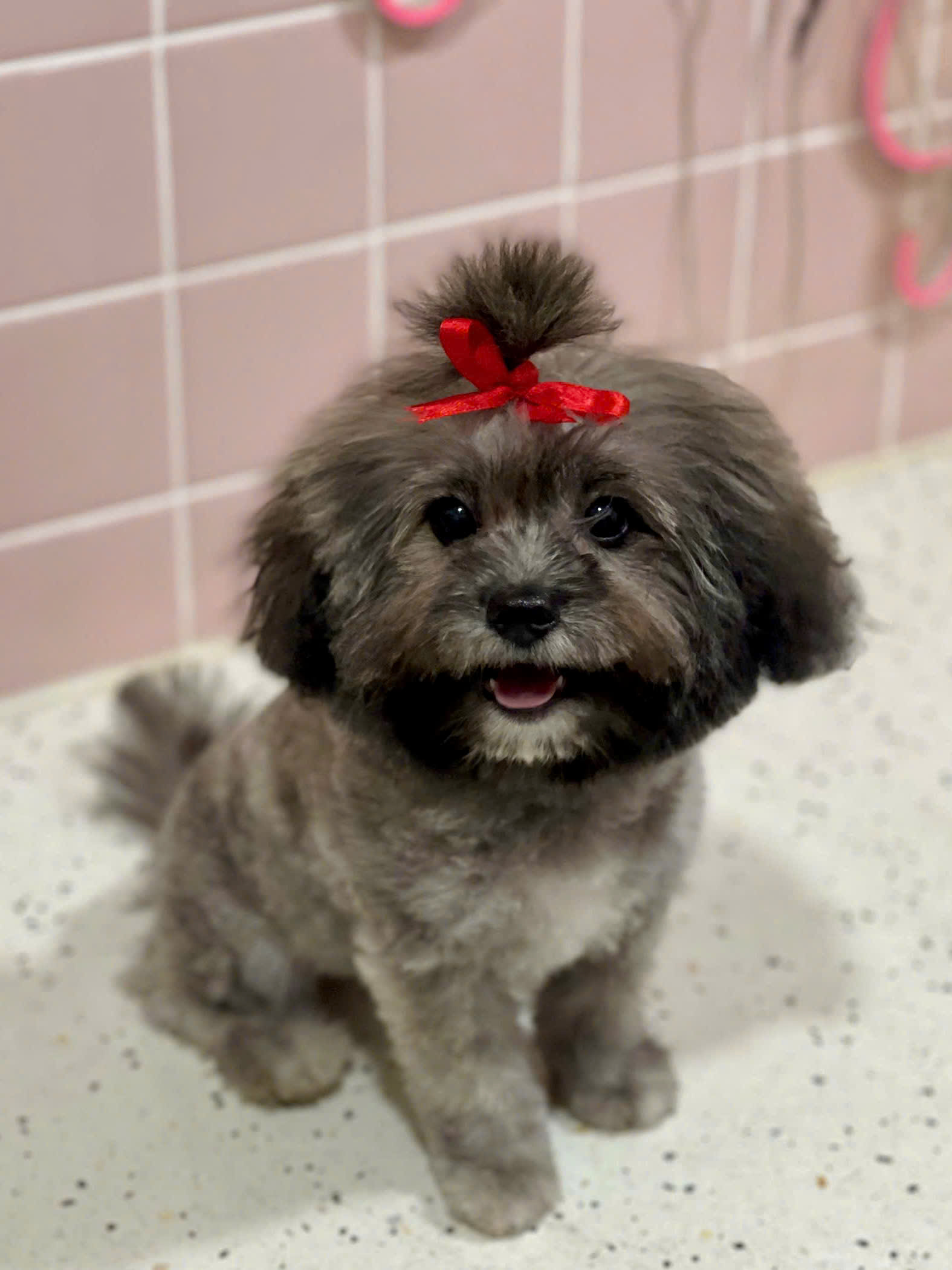 z7592303198505_9f0503d2034200fb8ad7a012346f42d2