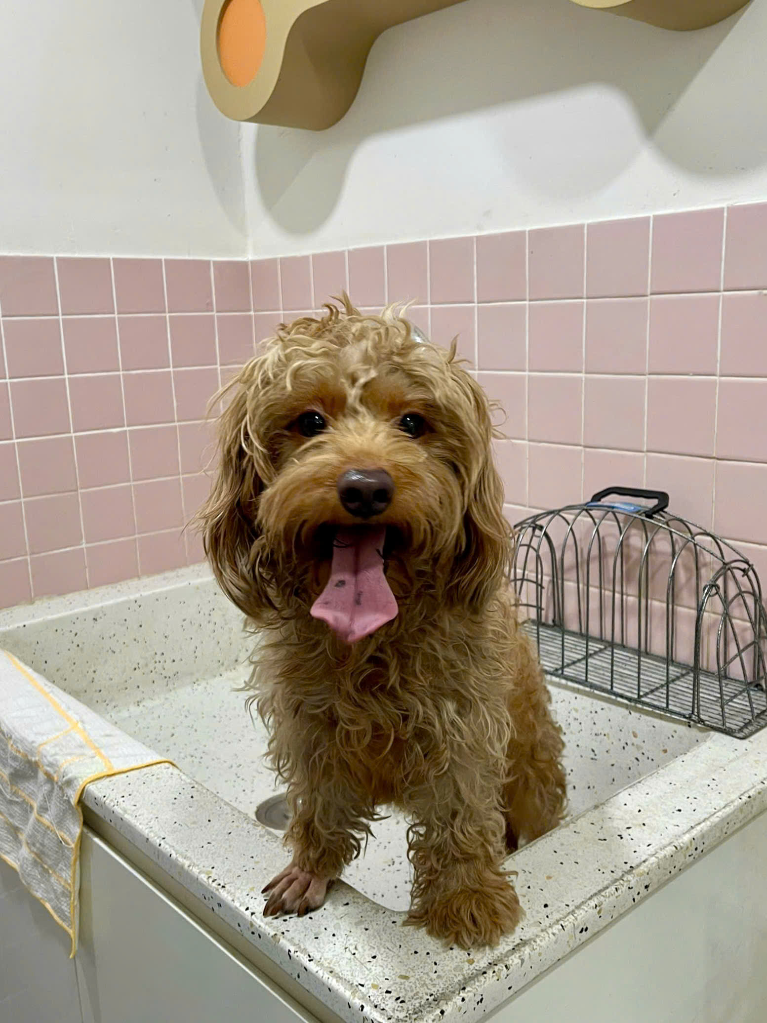 z7592303198795_ef3f493b849d8288c8d27f6b40d0bb4a