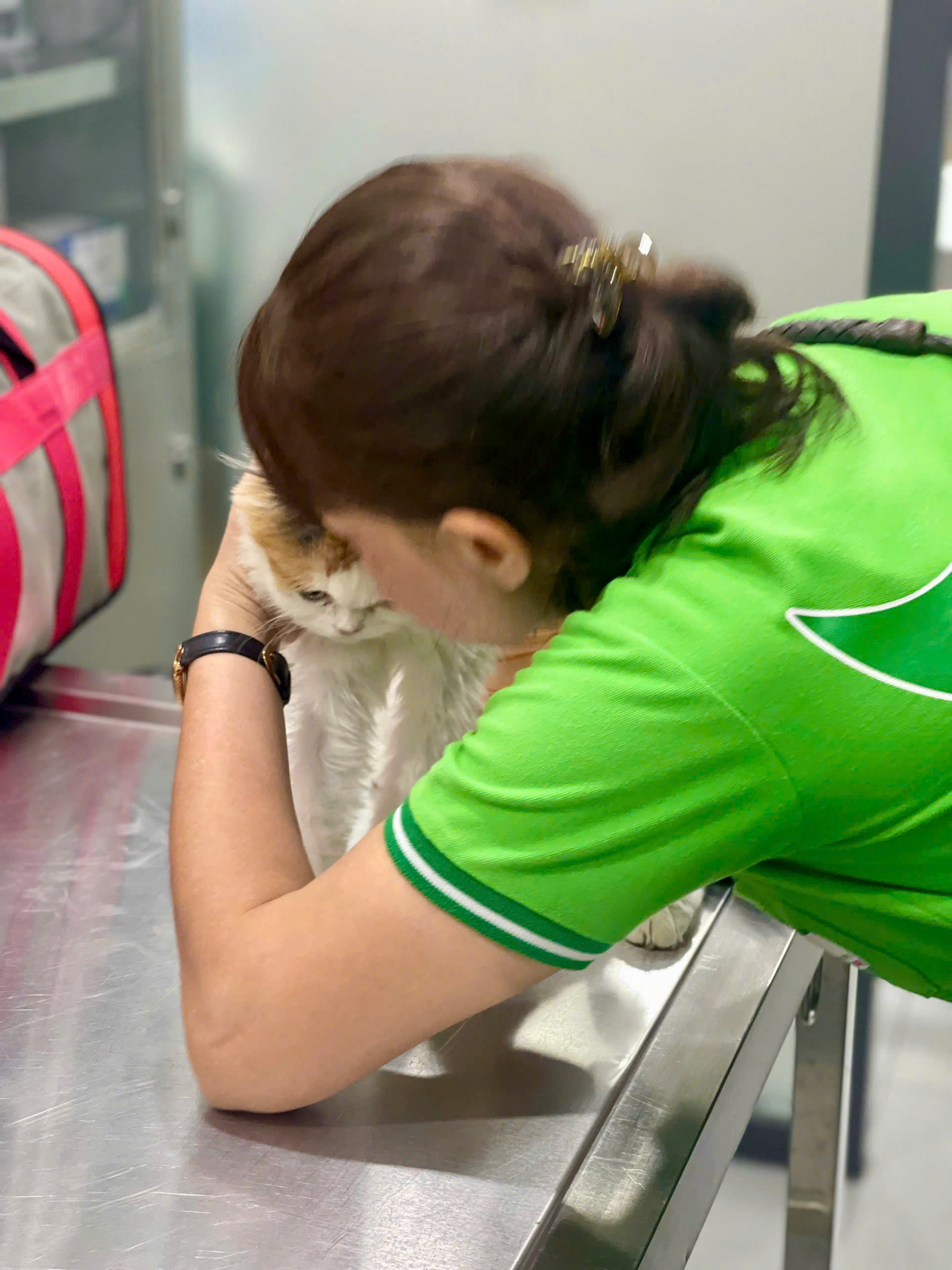 z7592303214921_e5bd83221f09cb1dd207dee309edc3eb