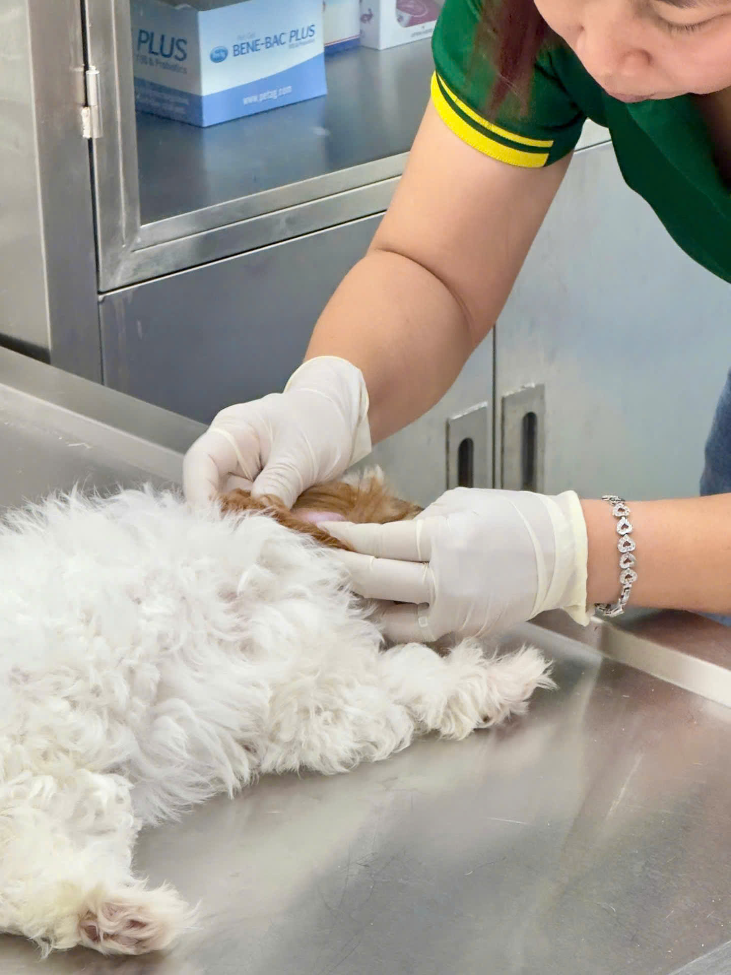 z7592303229754_3eecf0c0f397931d63bef1738a5132b5