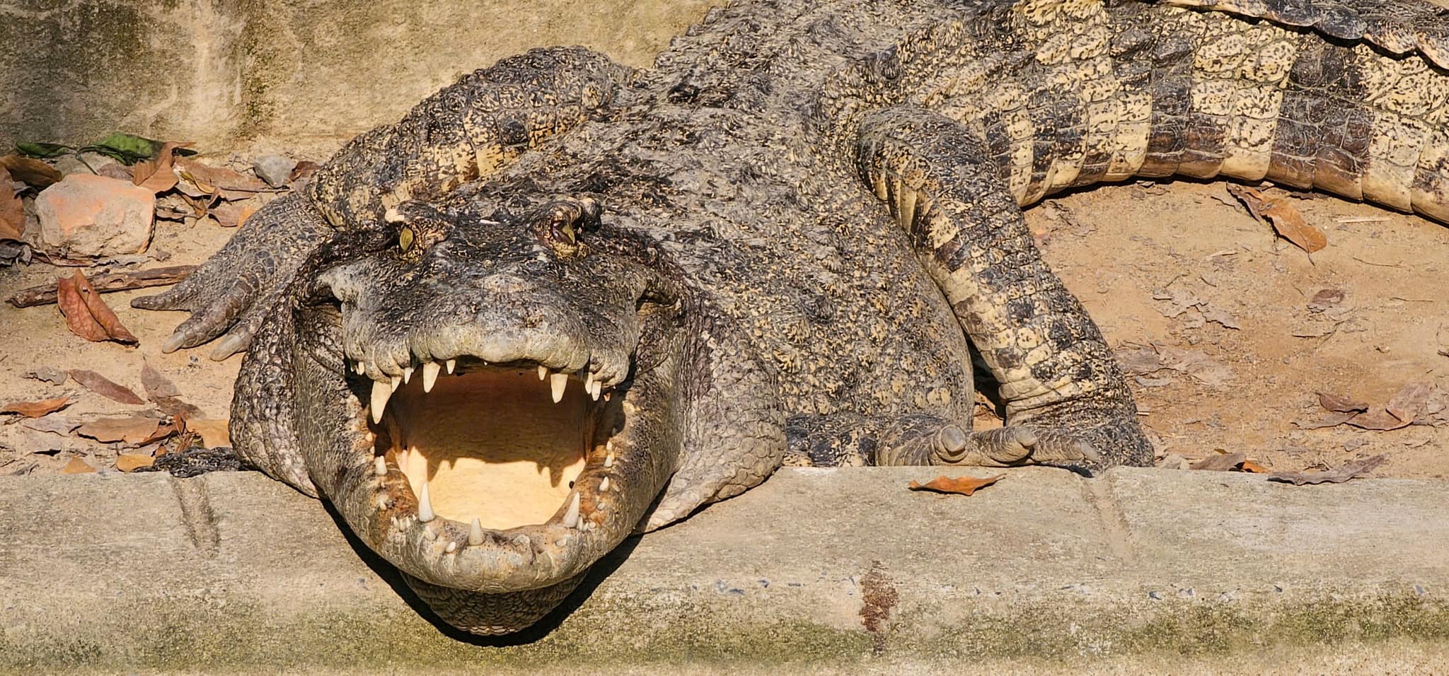 475743871_626626866569525_579150460345525165_n