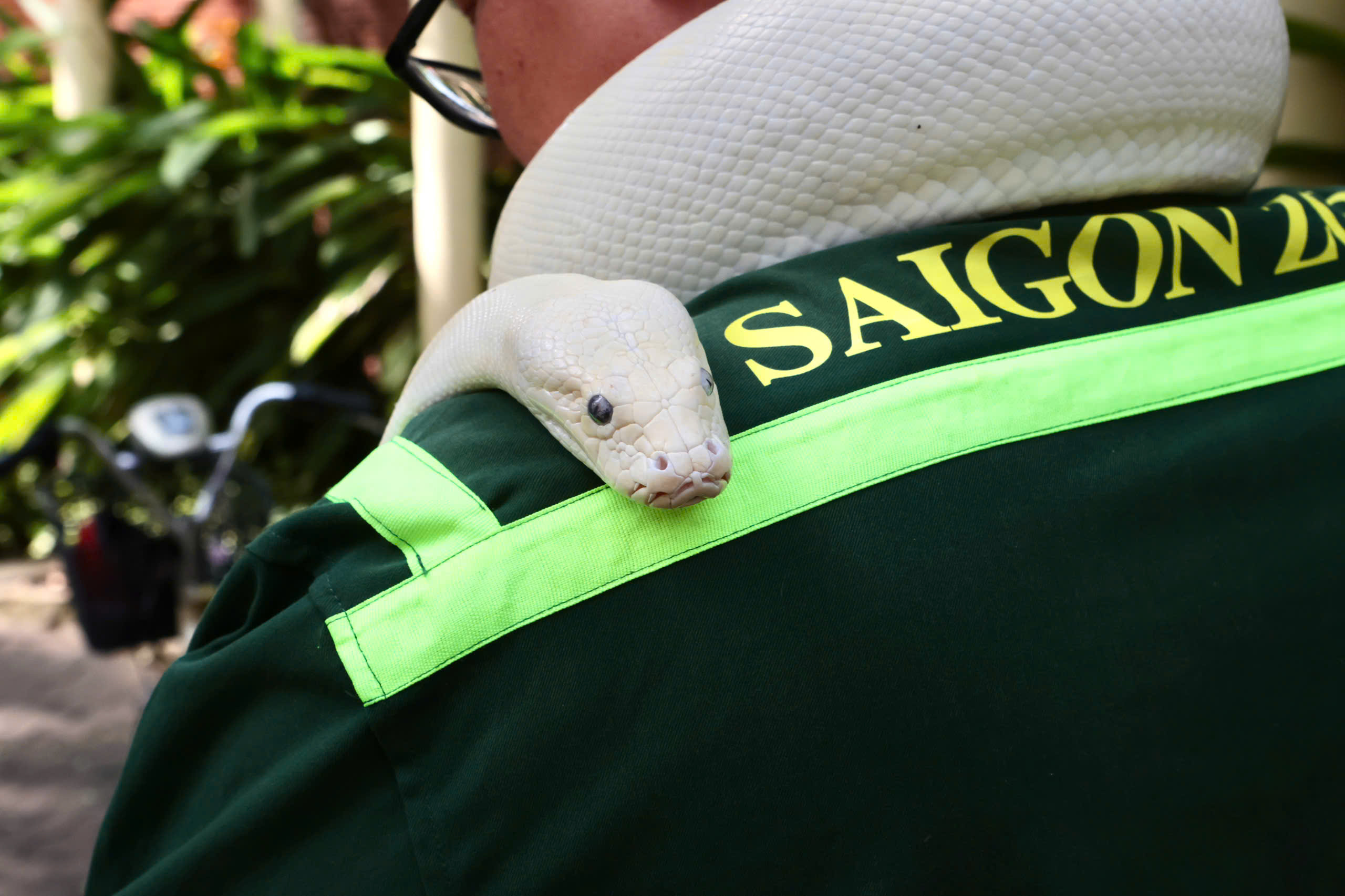 z7304300580854_ded236620e260e1c6e61f88ebfdbc47f