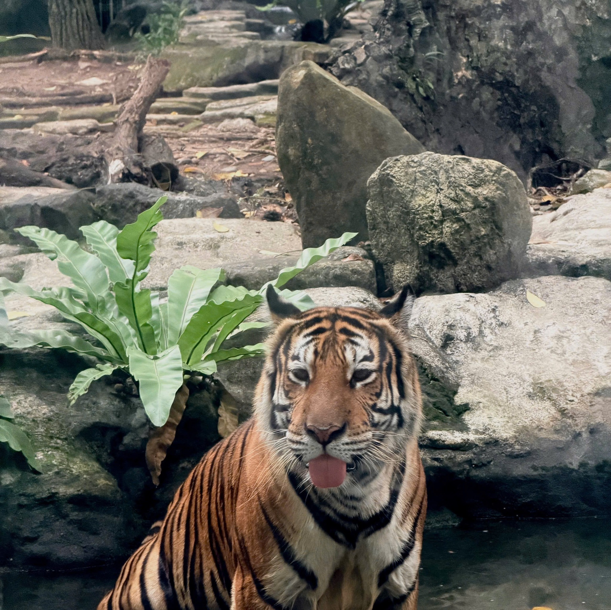 615135375_896982949533914_7538556008391802353_n