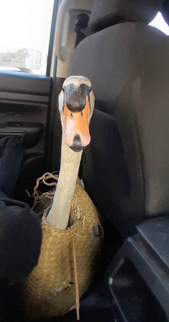 622586183_907279568504252_7168497202469393806_n