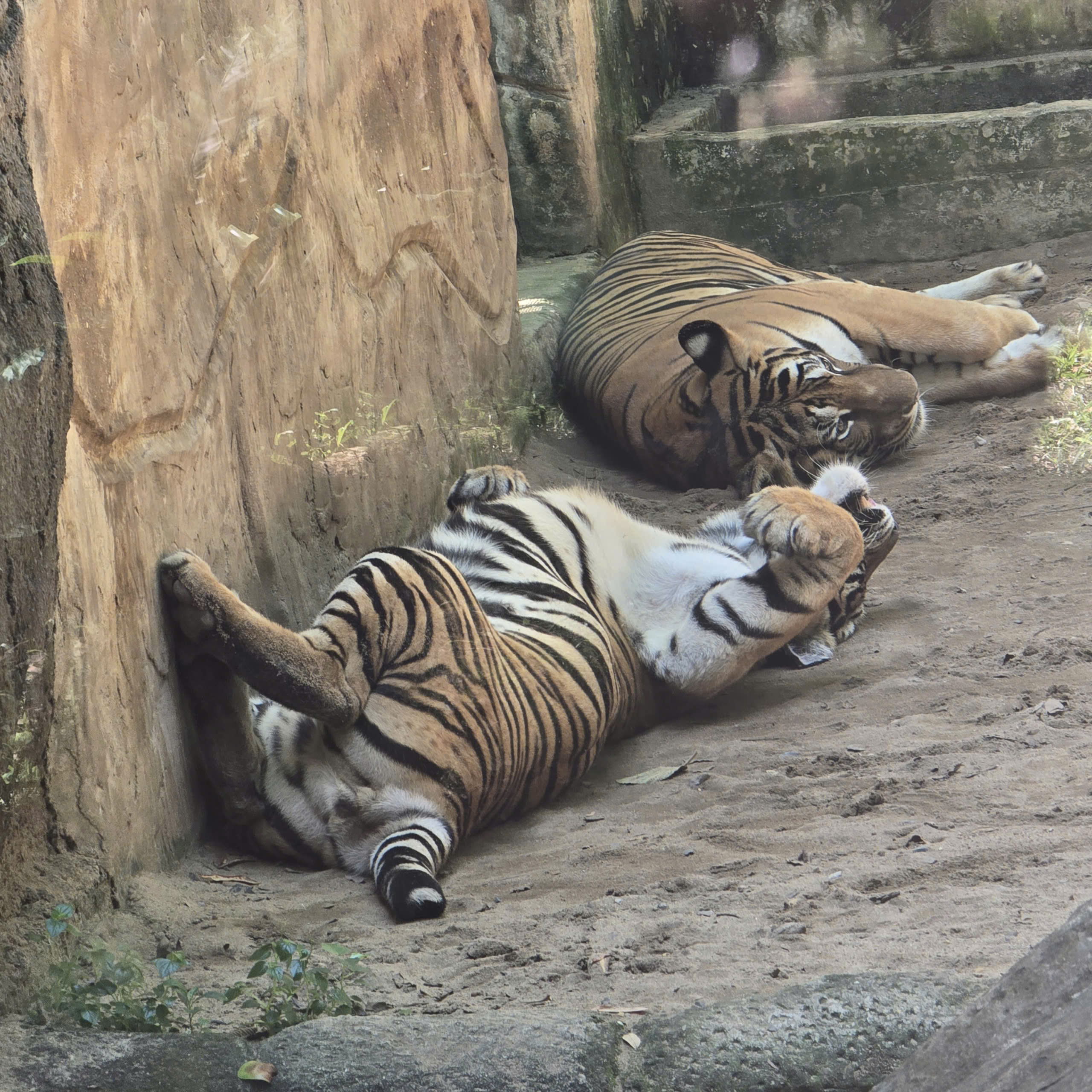 z7222551440967_9366c553db78db86369e19755fd4dd3d