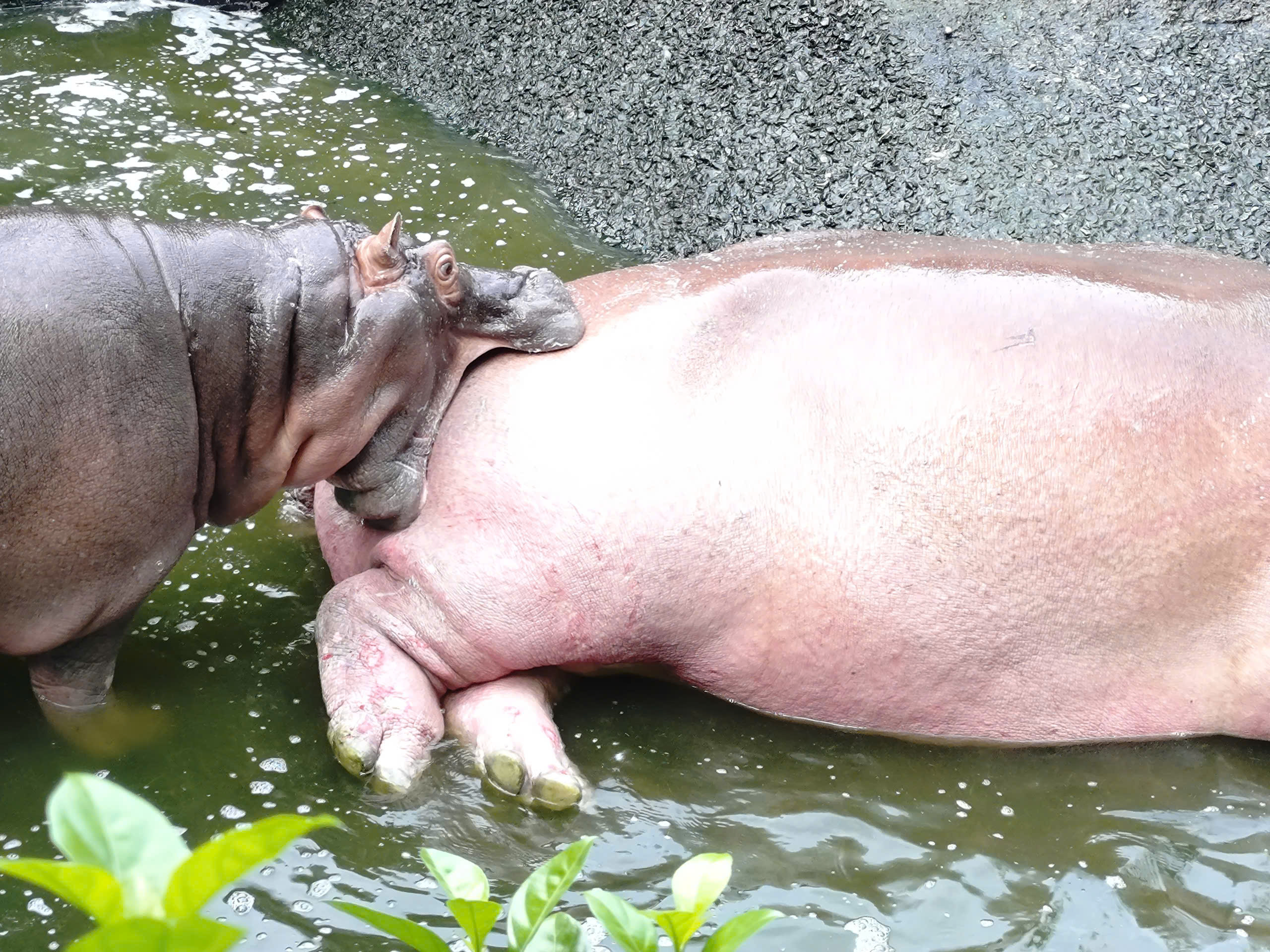 z7223689259385_413925dccc5f5ba647d357fccff36791