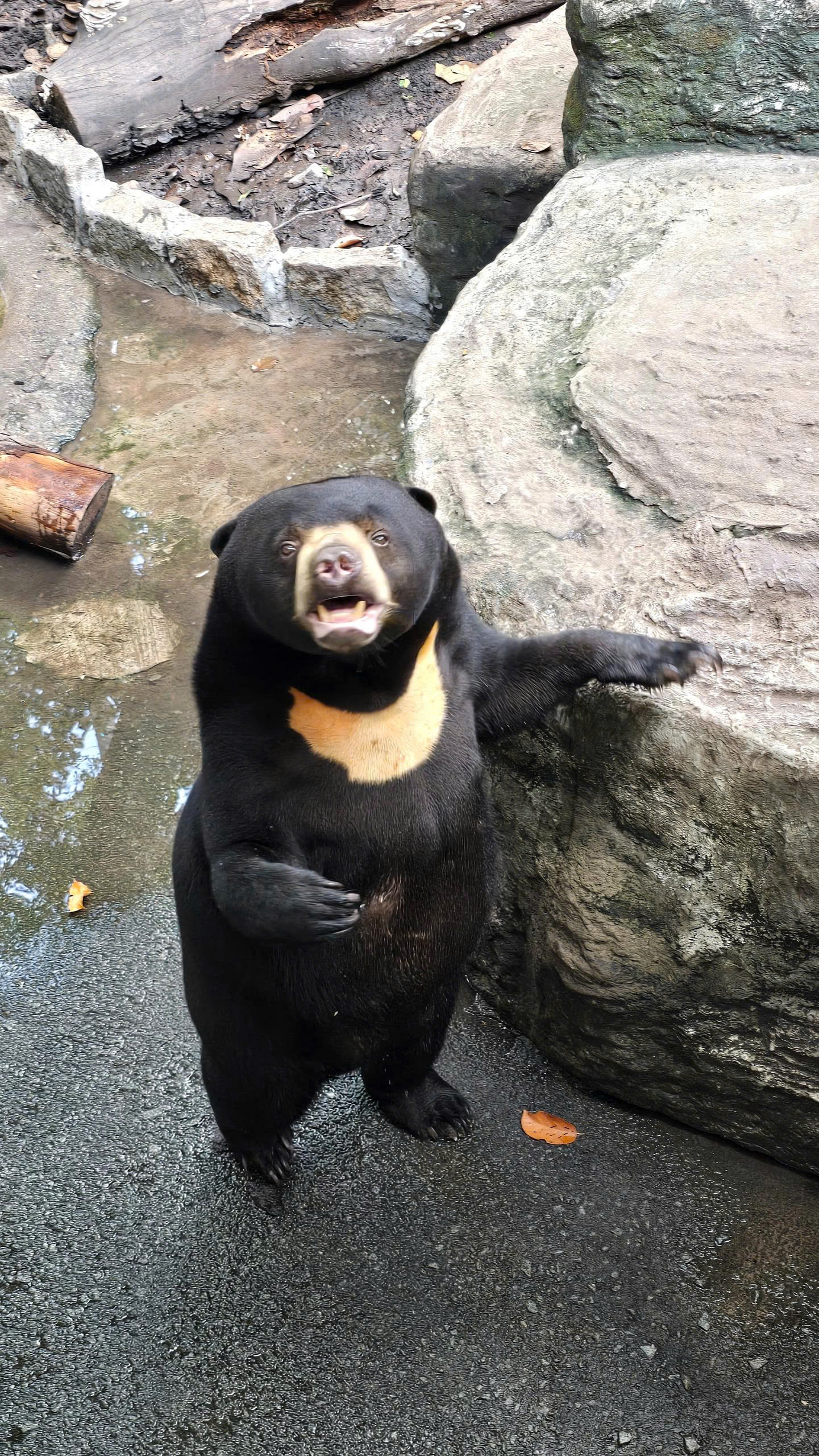 z7223722569398_5346ac40d742ec7d10c945cd671e1f3d